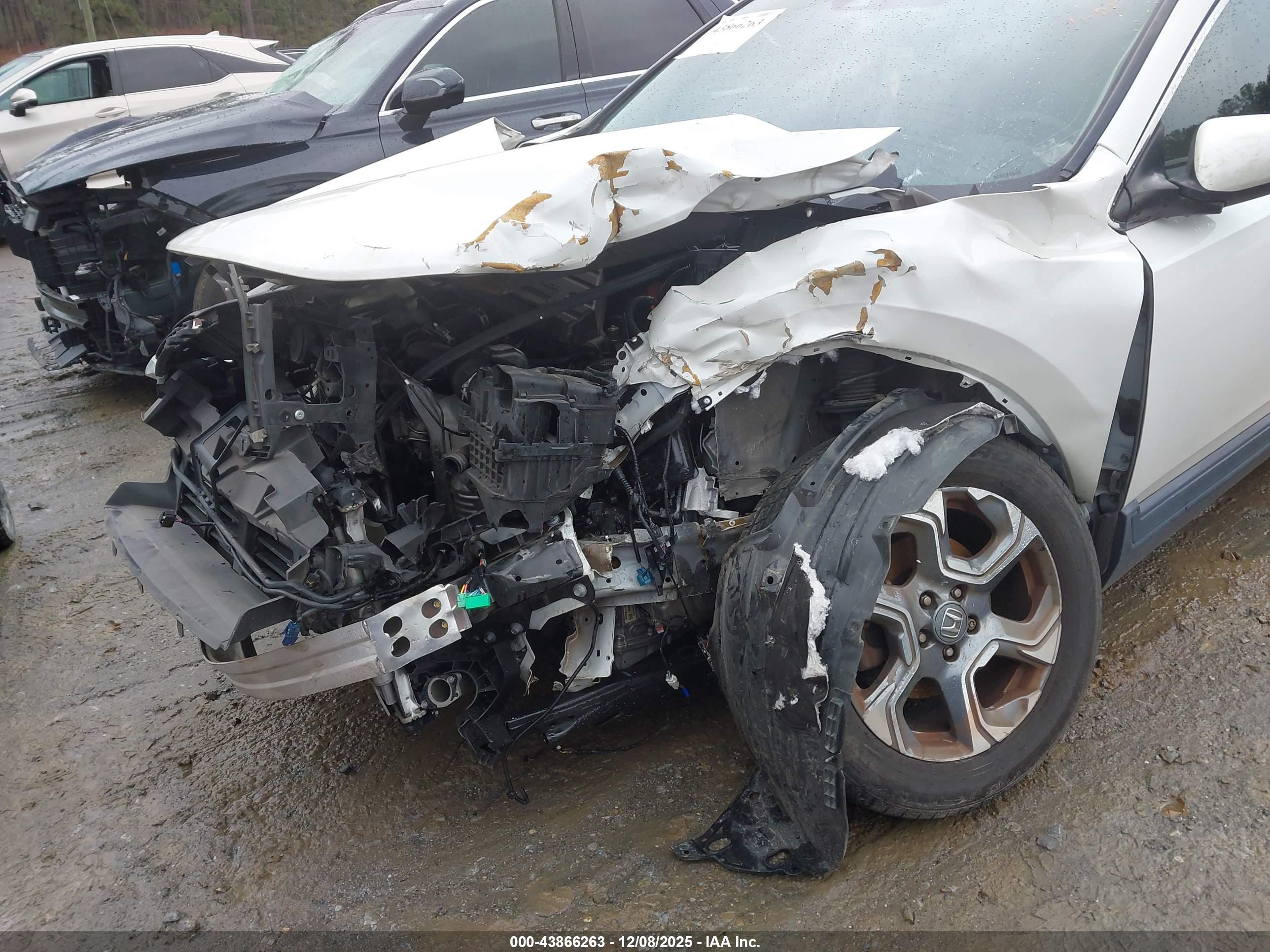 HONDA CR-V image 6