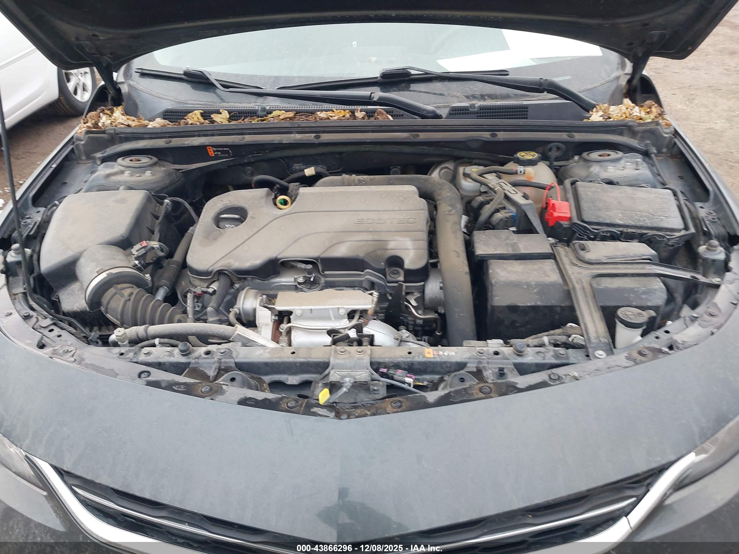 CHEVROLET MALIBU image 10