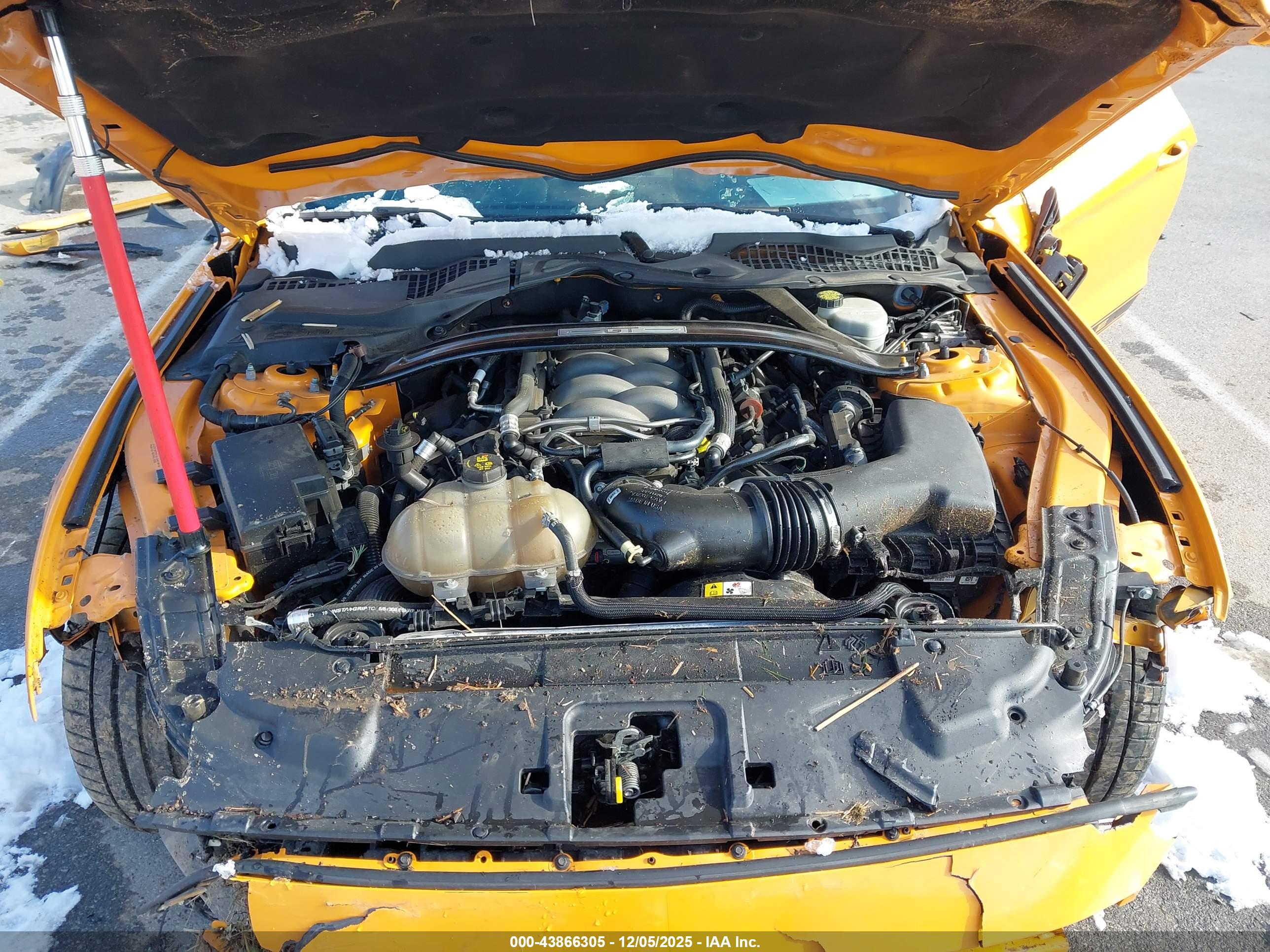 FORD MUSTANG image 10