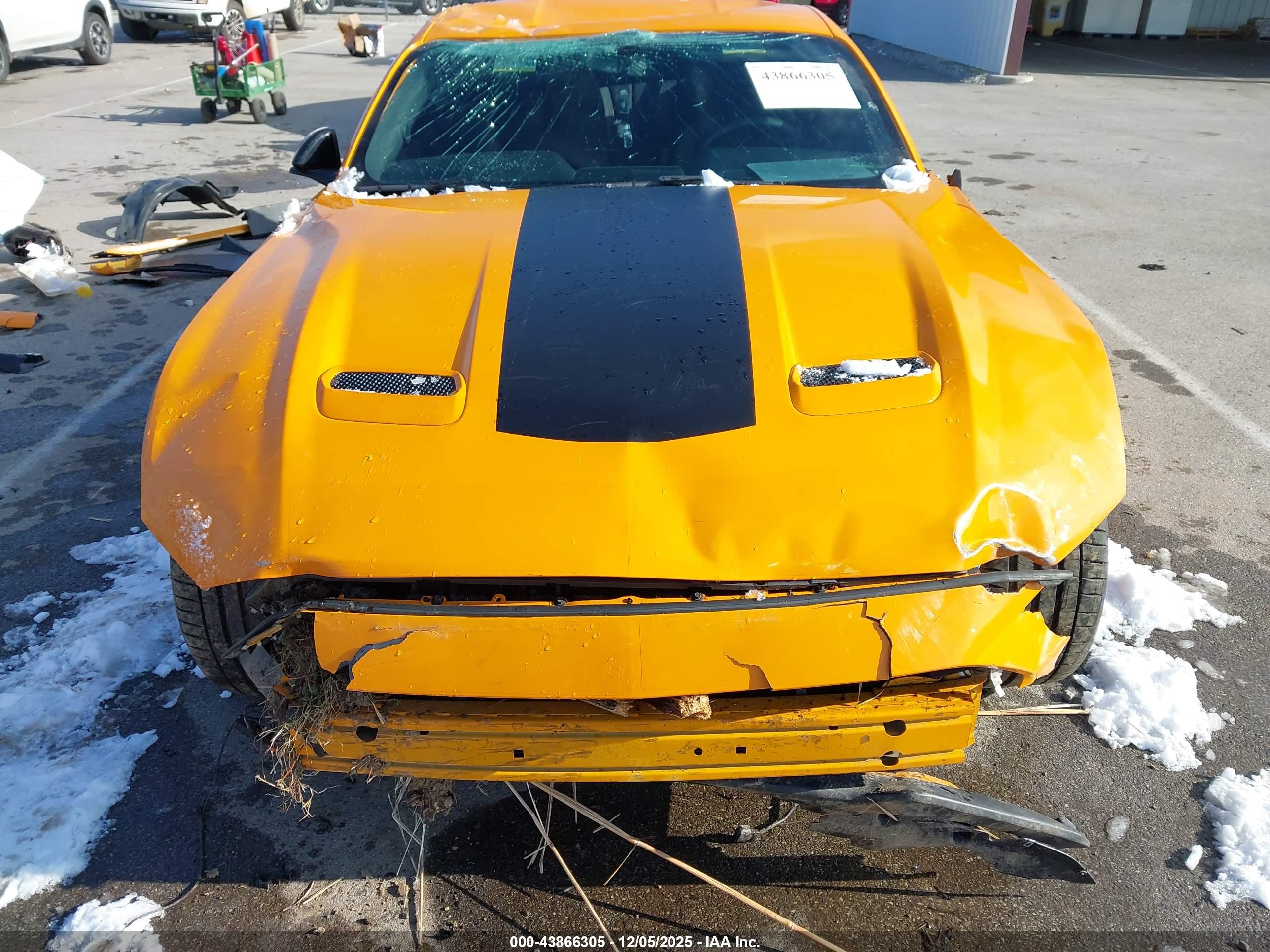 FORD MUSTANG image 6