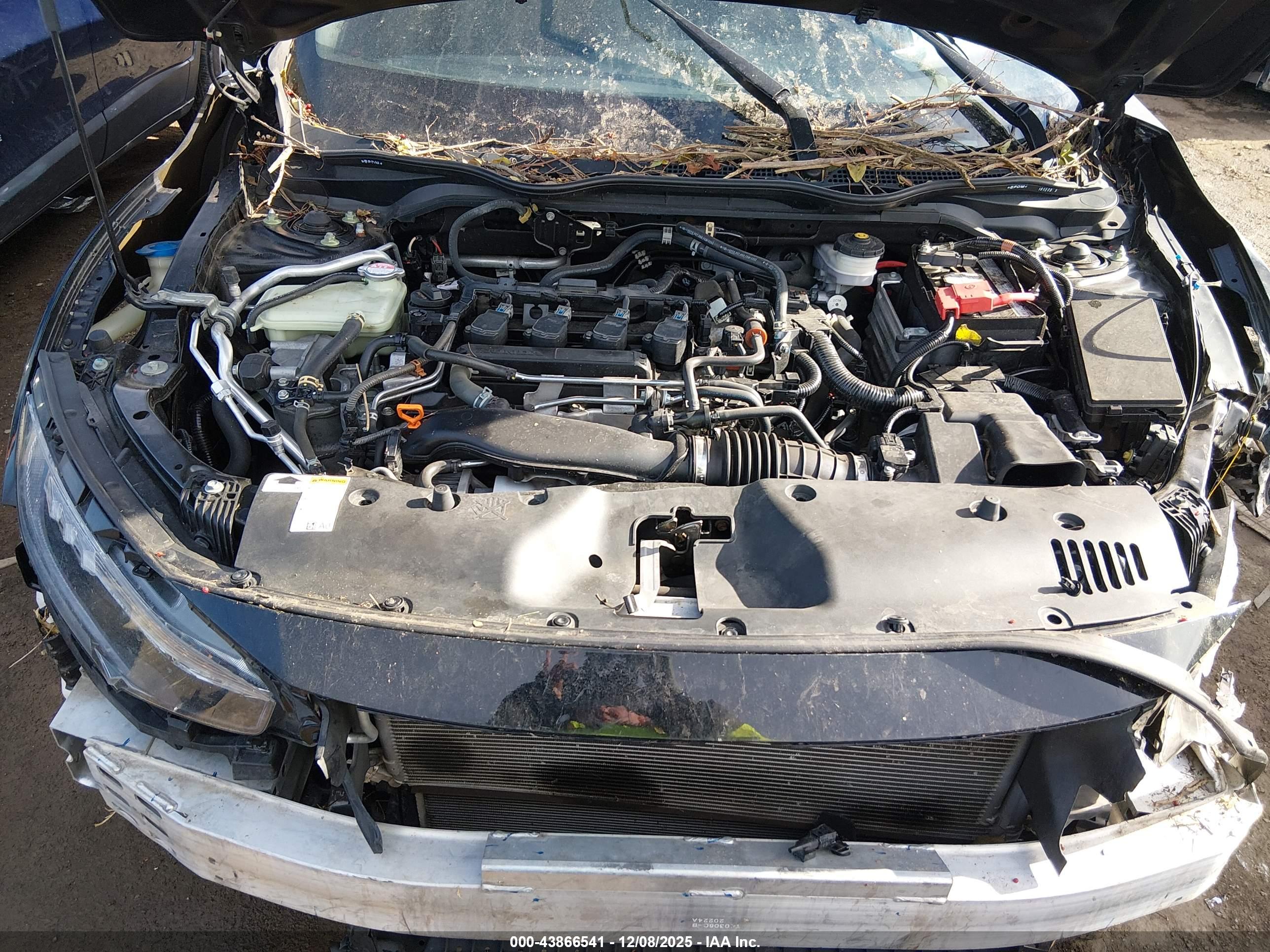 HONDA CIVIC image 10