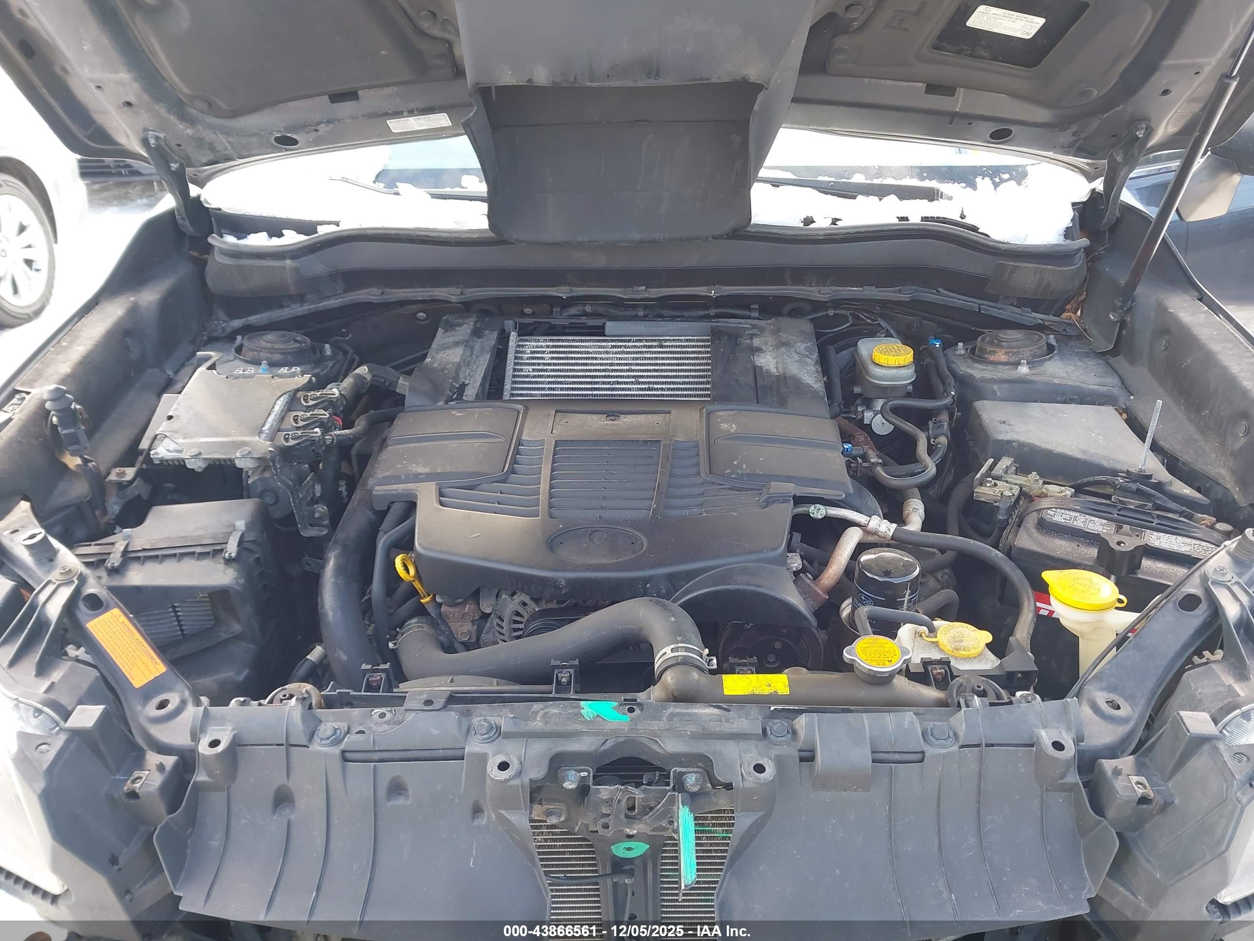 SUBARU FORESTER image 10