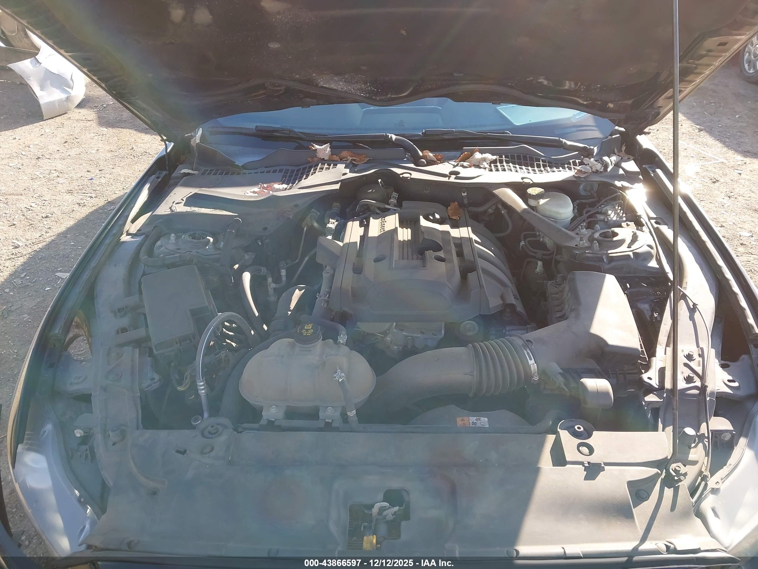 FORD MUSTANG image 10