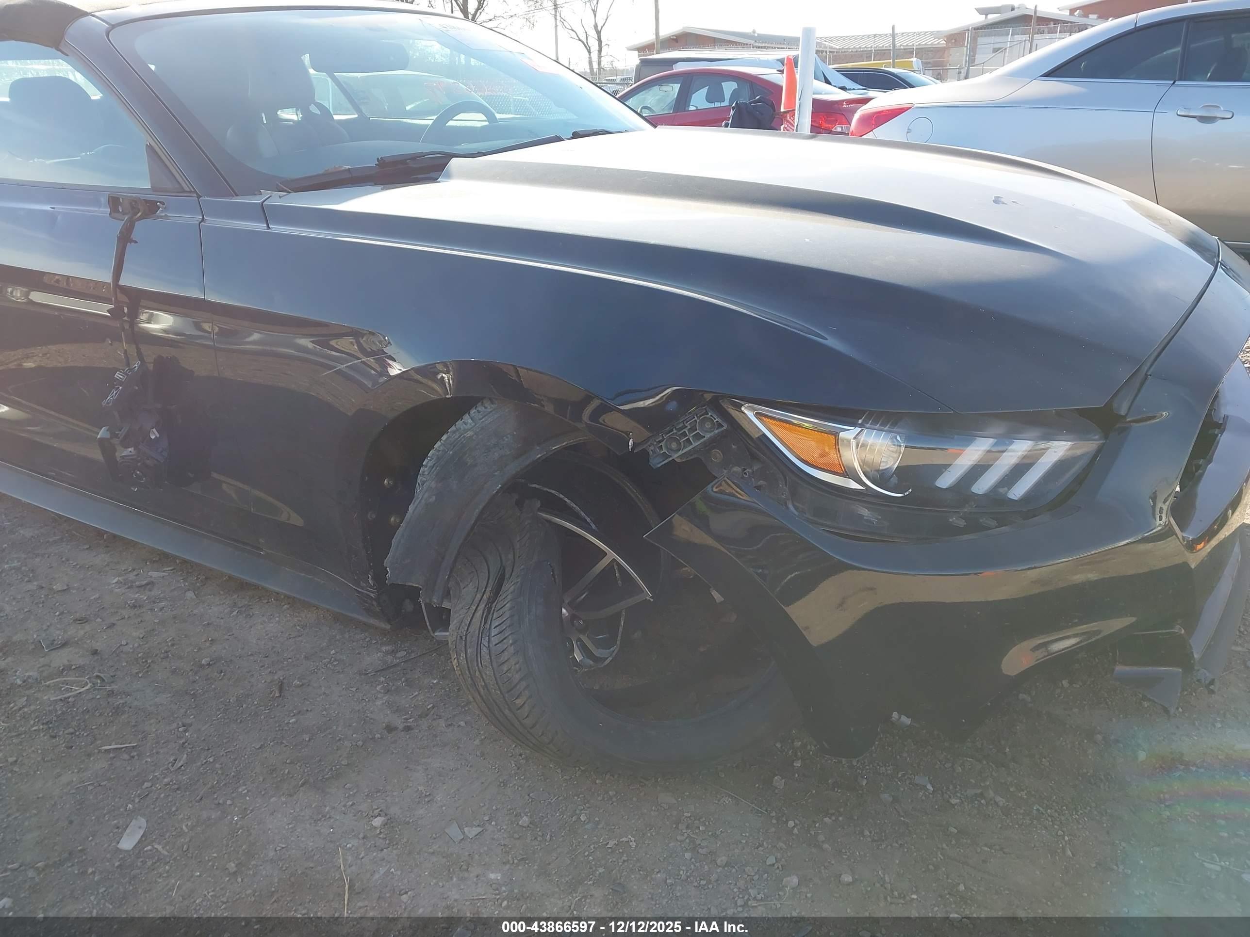 FORD MUSTANG image 6