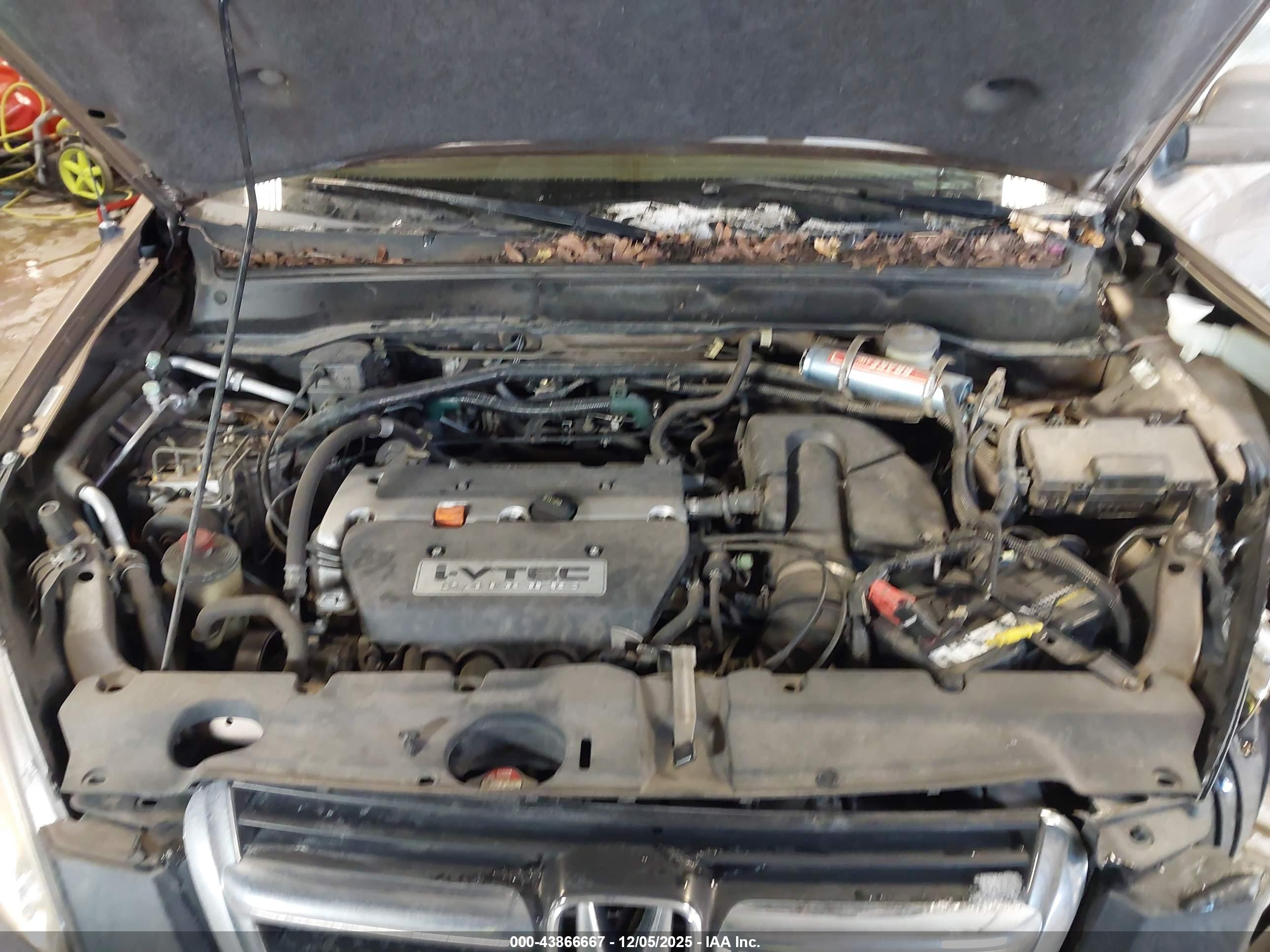 HONDA CR-V image 10