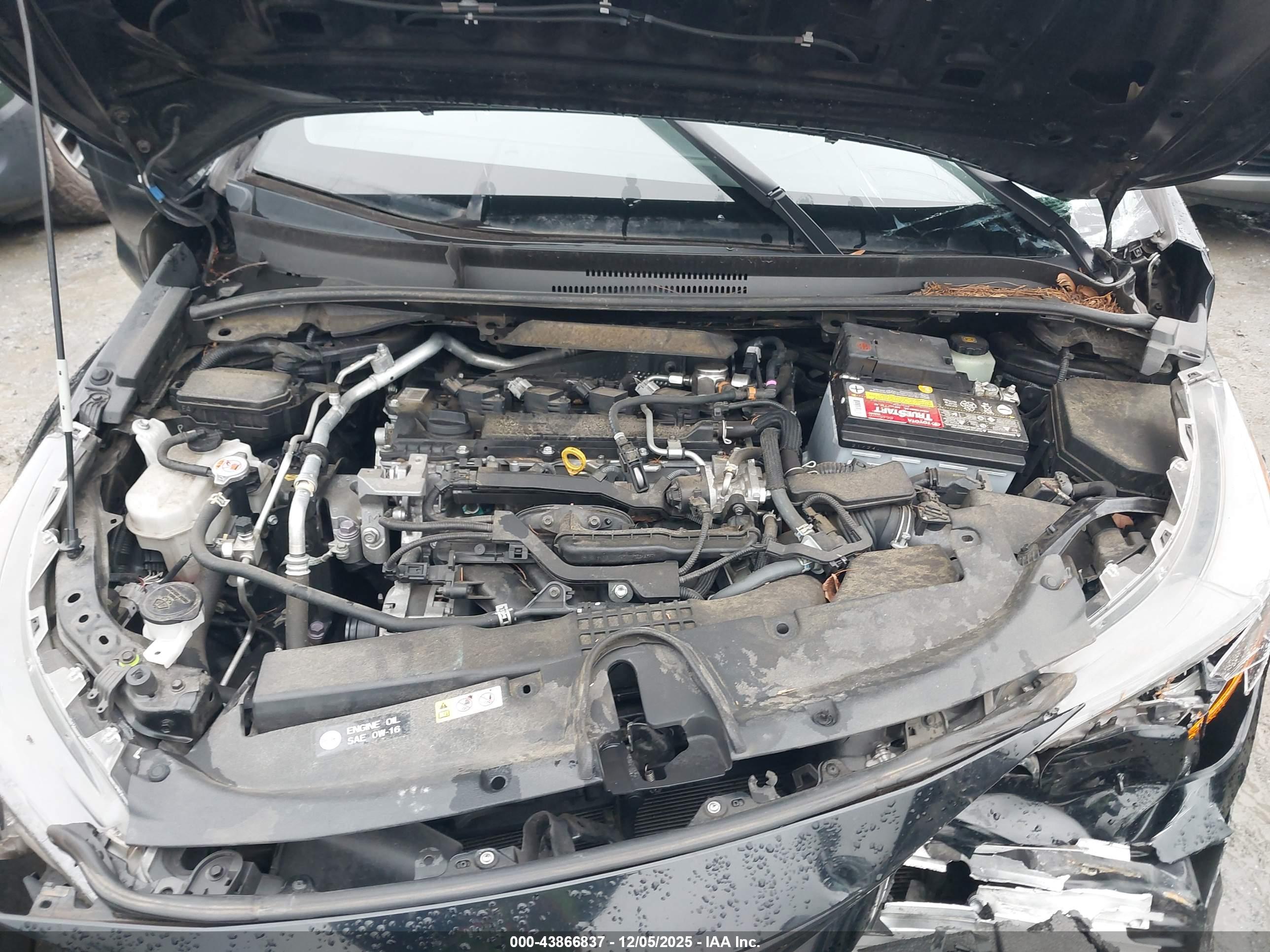 TOYOTA COROLLA image 10