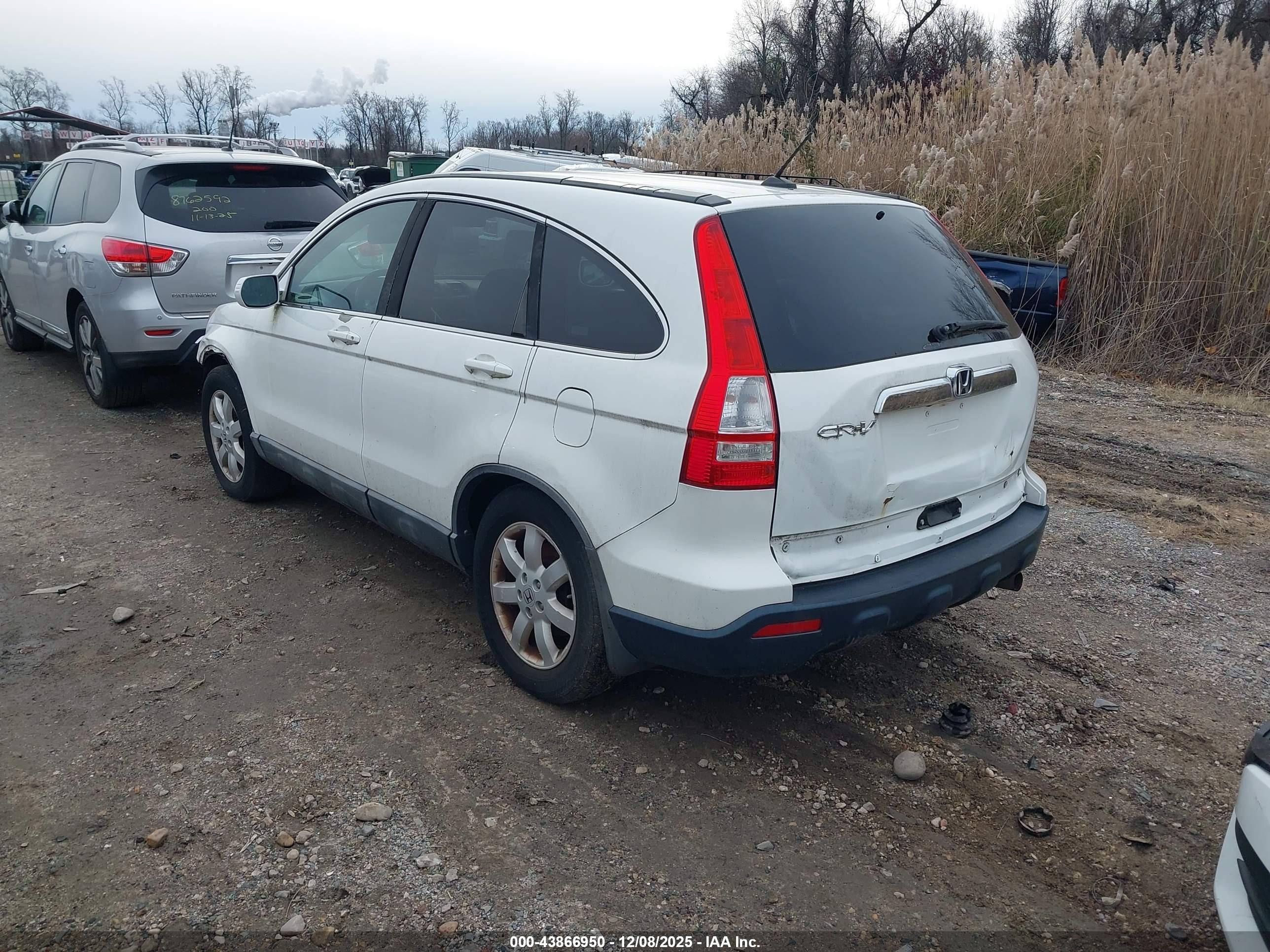 HONDA CR-V image 3