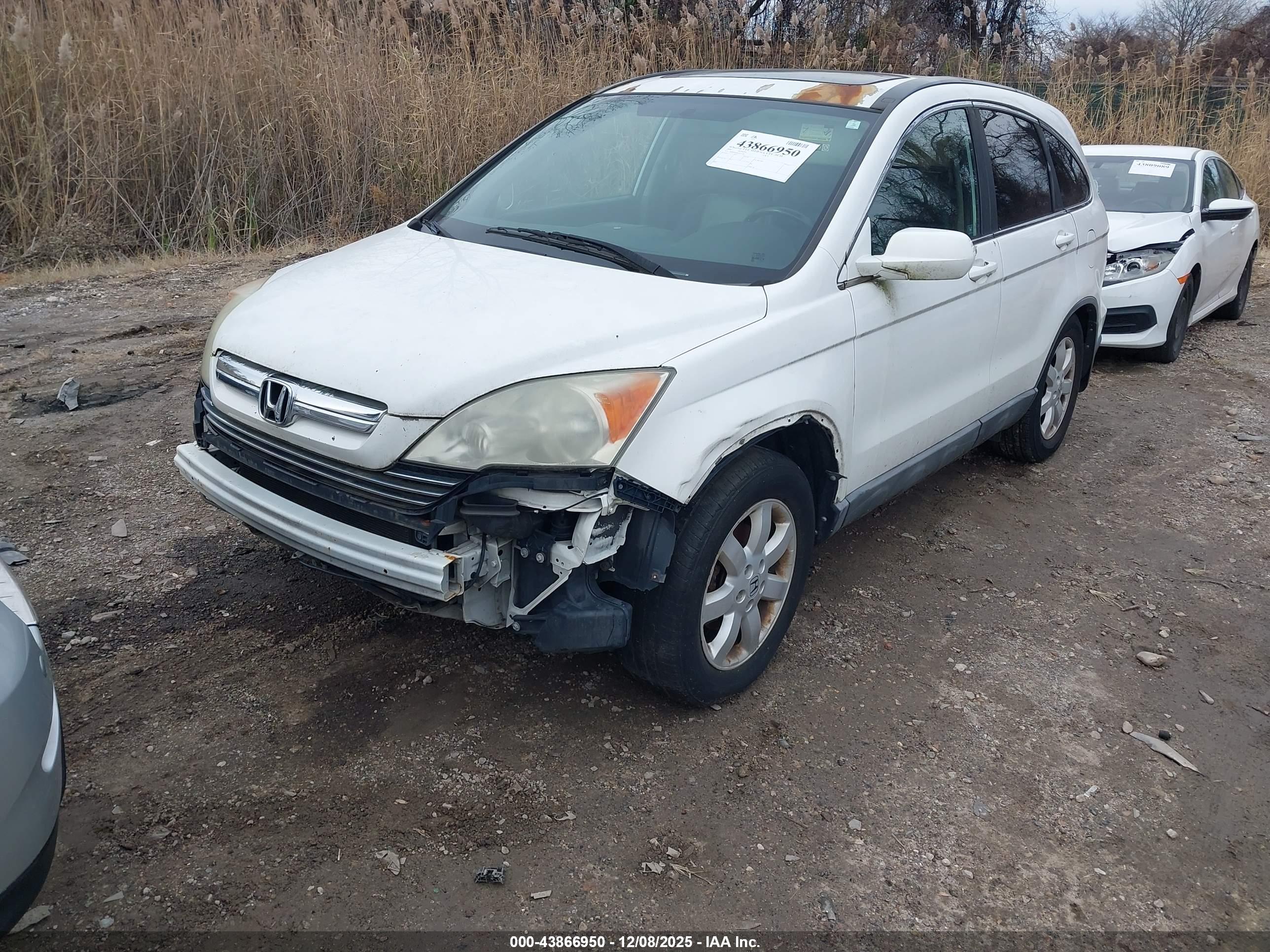 HONDA CR-V image 6