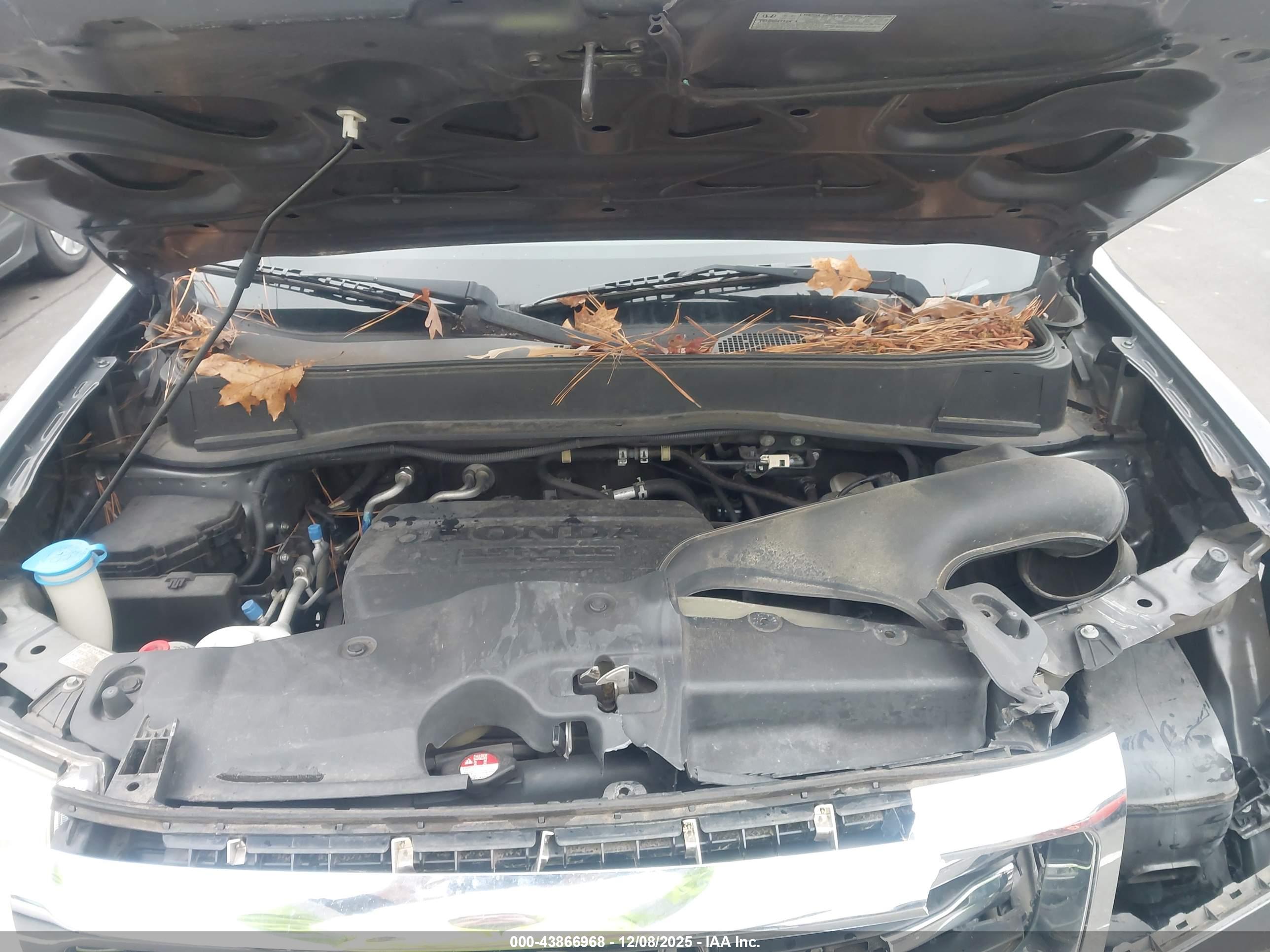 HONDA PILOT image 10