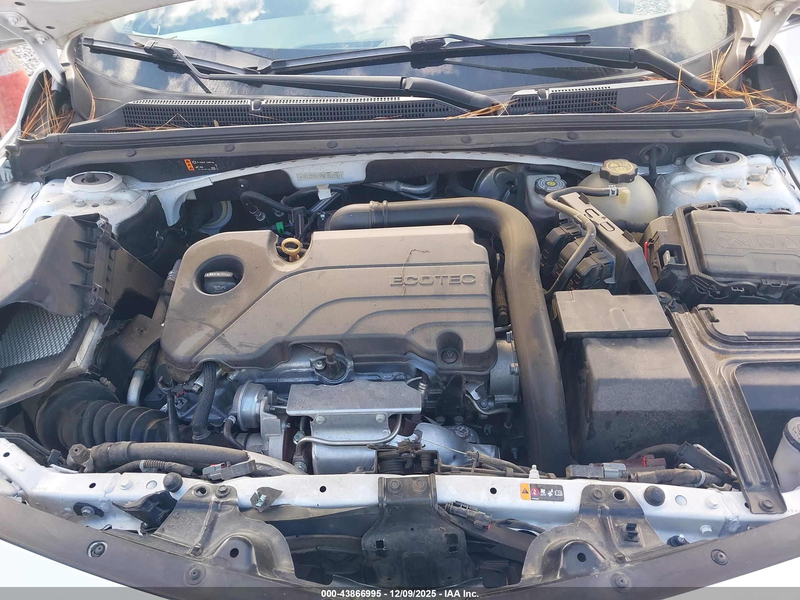 CHEVROLET MALIBU image 10