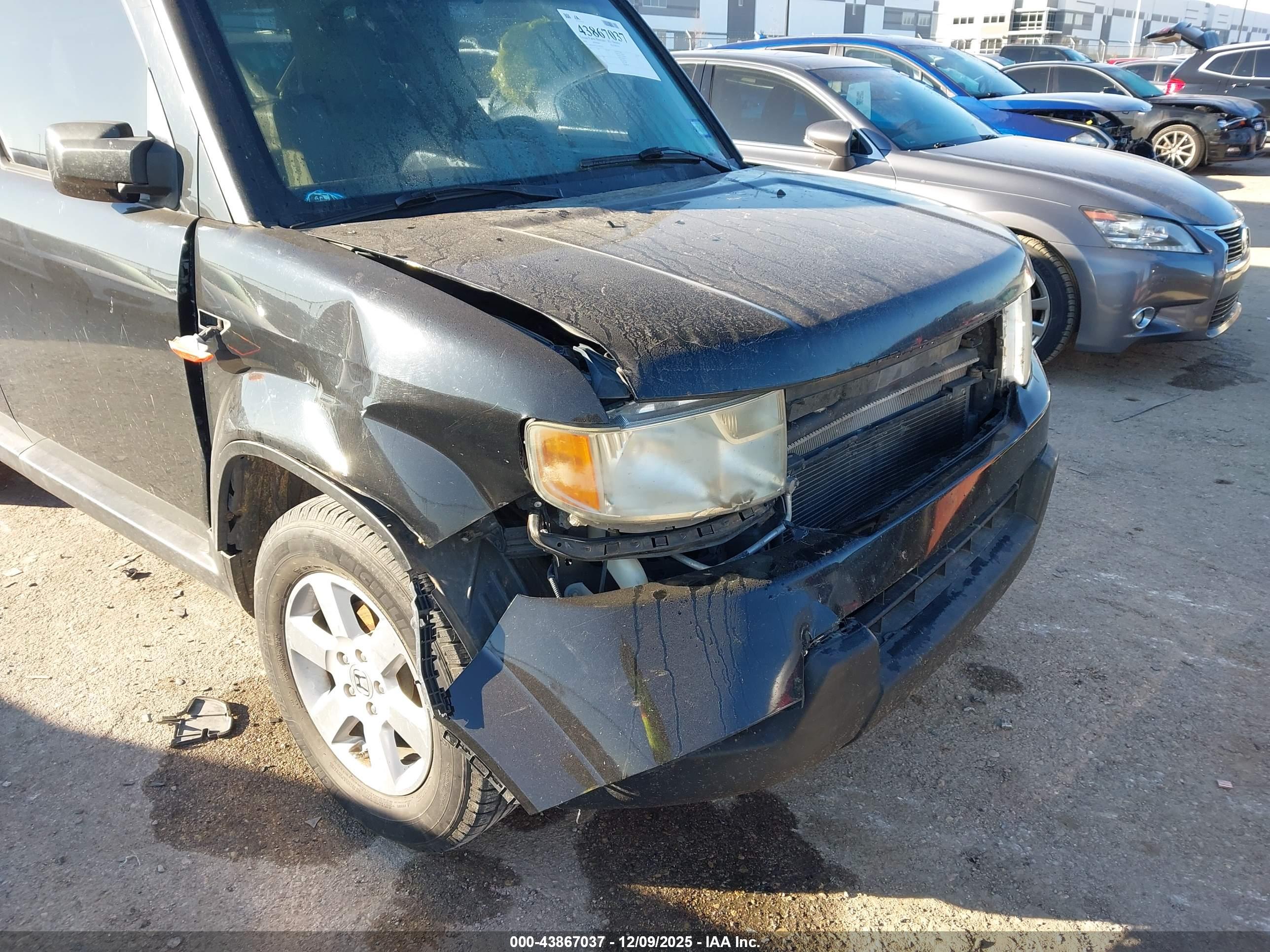 HONDA ELEMENT image 6