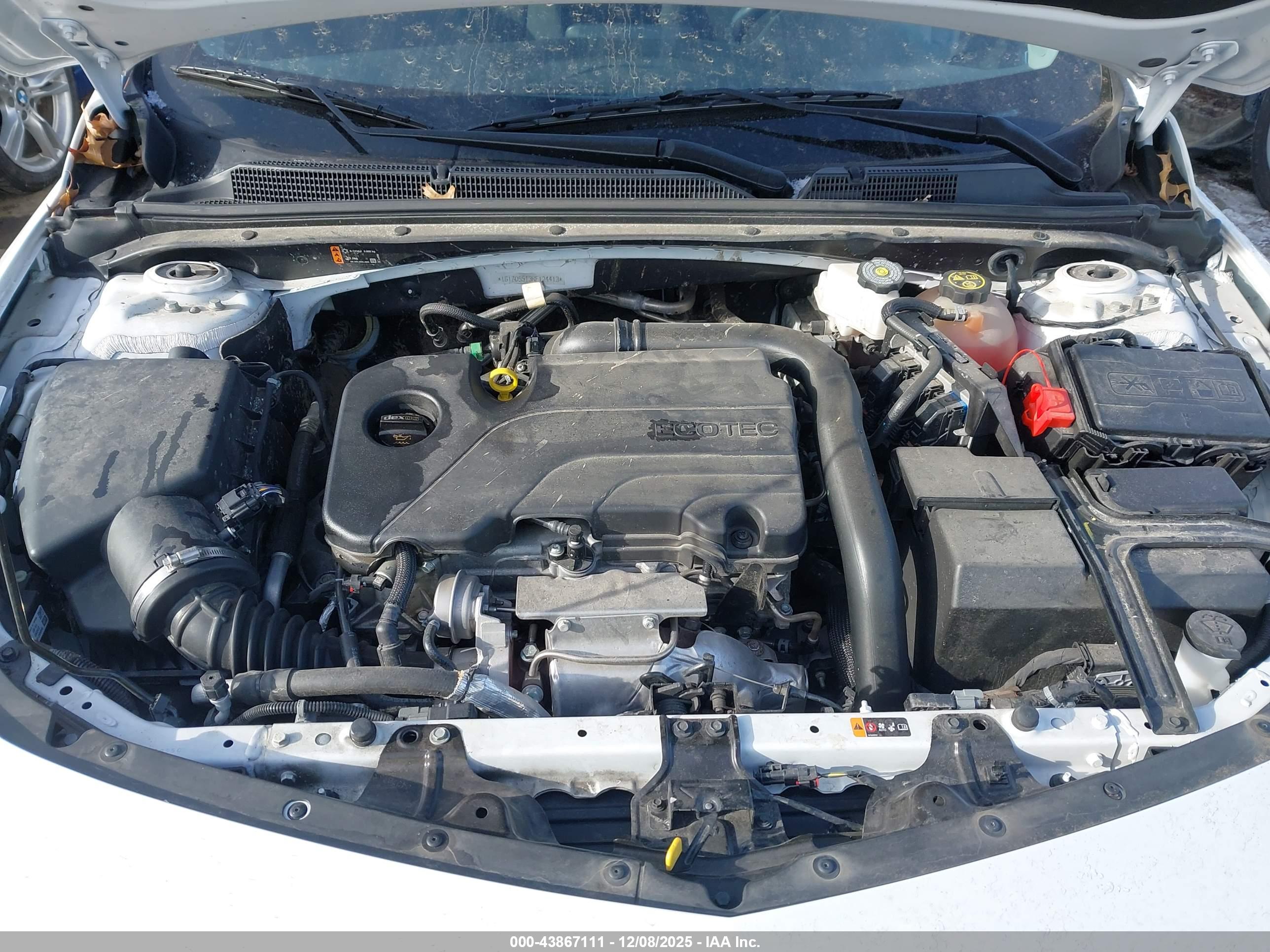 CHEVROLET MALIBU image 10