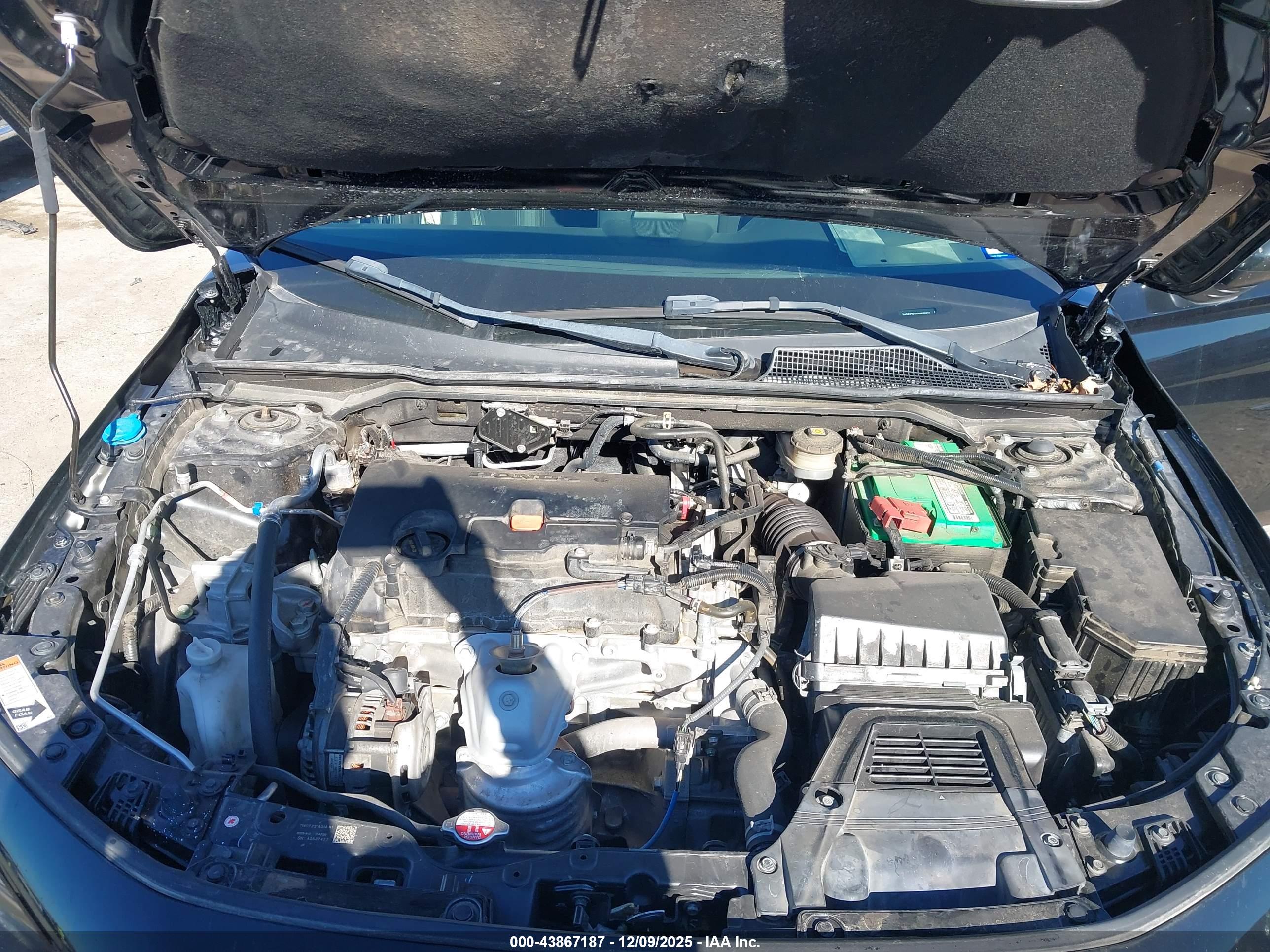HONDA CIVIC image 10