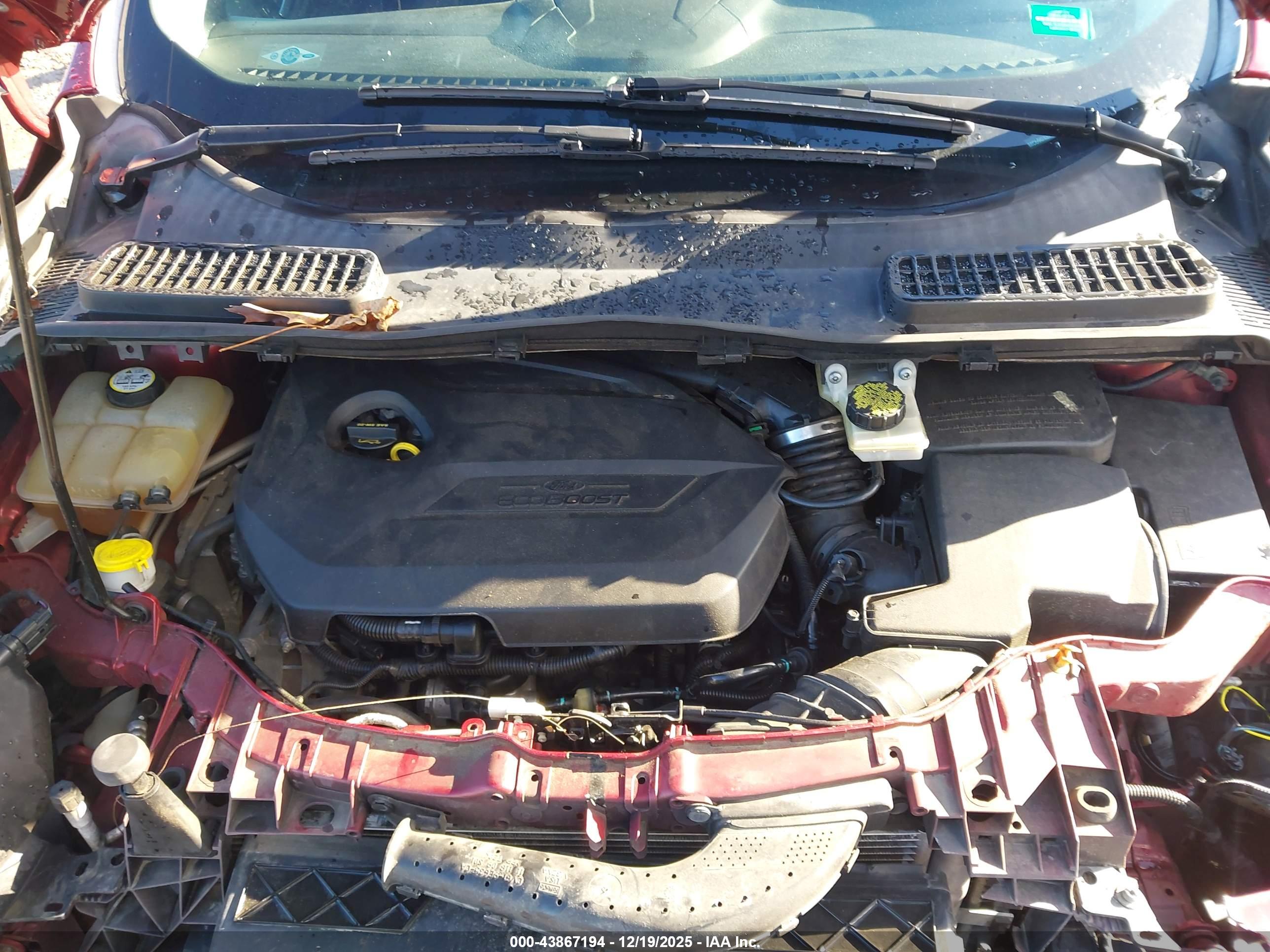 FORD ESCAPE image 10