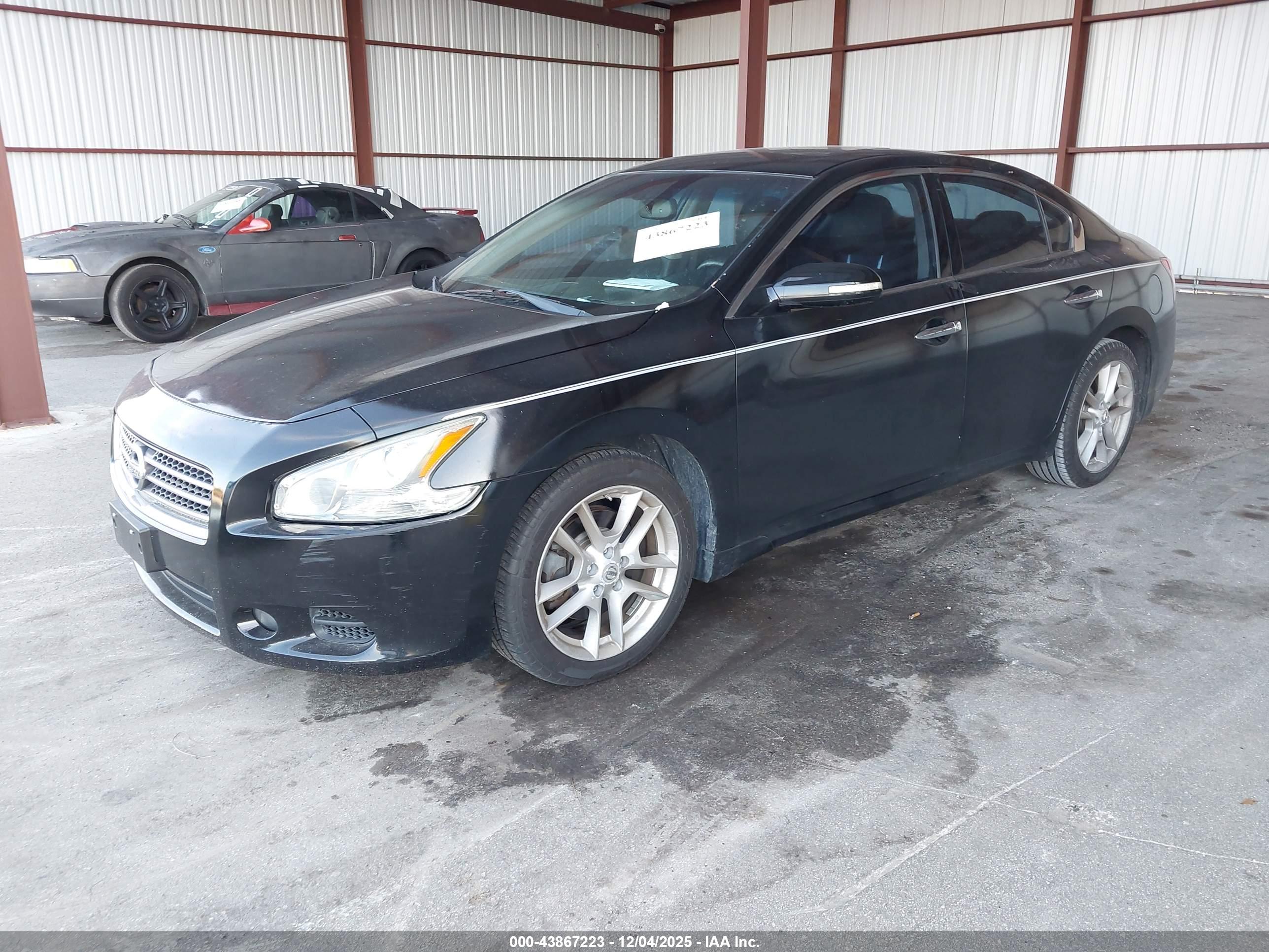 NISSAN MAXIMA image 2