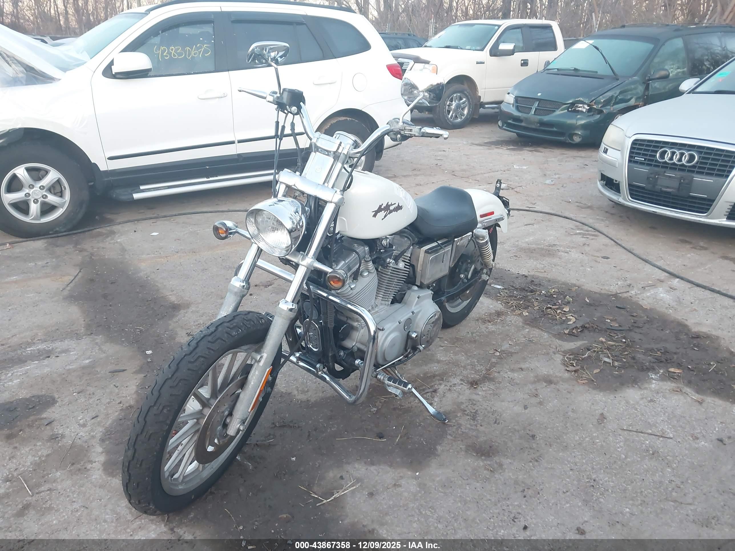 HARLEY-DAVIDSON XL883 image 2