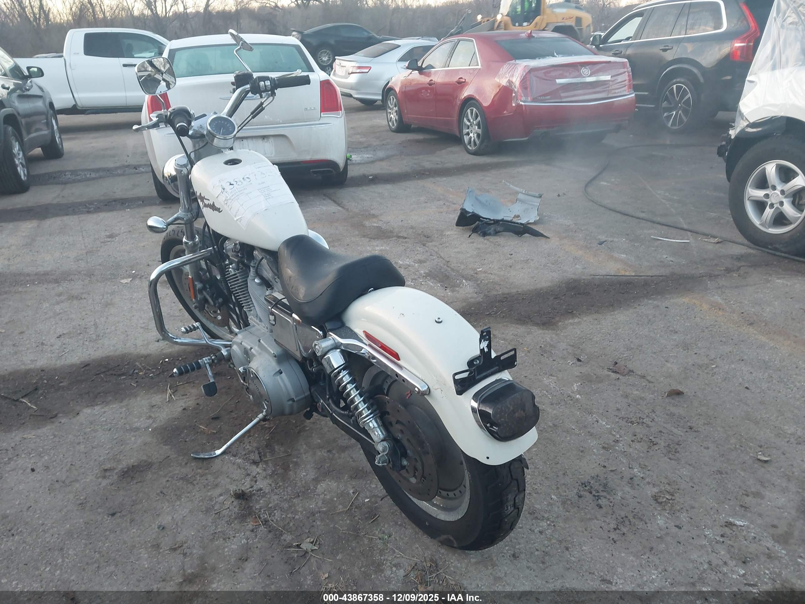 HARLEY-DAVIDSON XL883 image 3