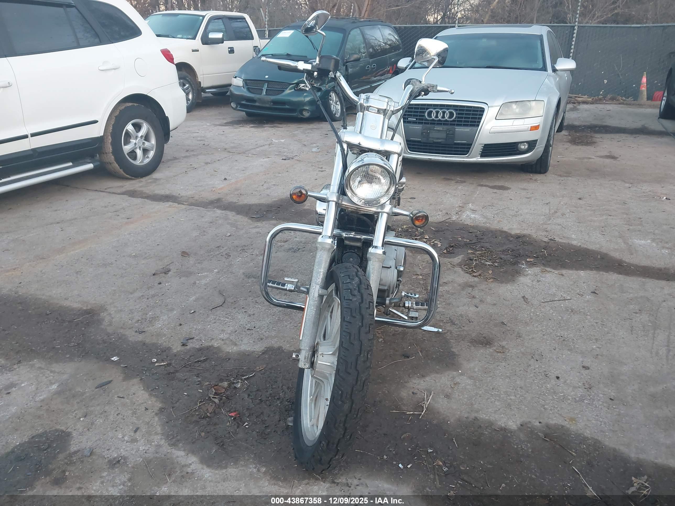 HARLEY-DAVIDSON XL883 image 5