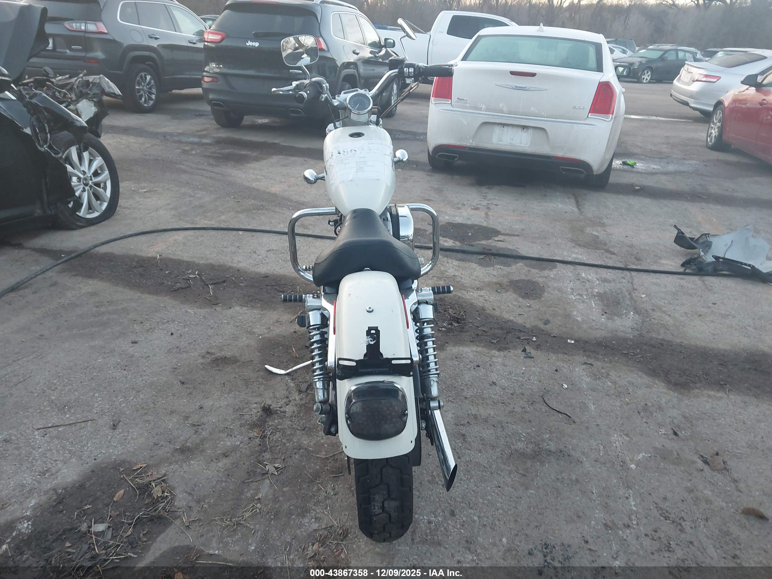 HARLEY-DAVIDSON XL883 image 6