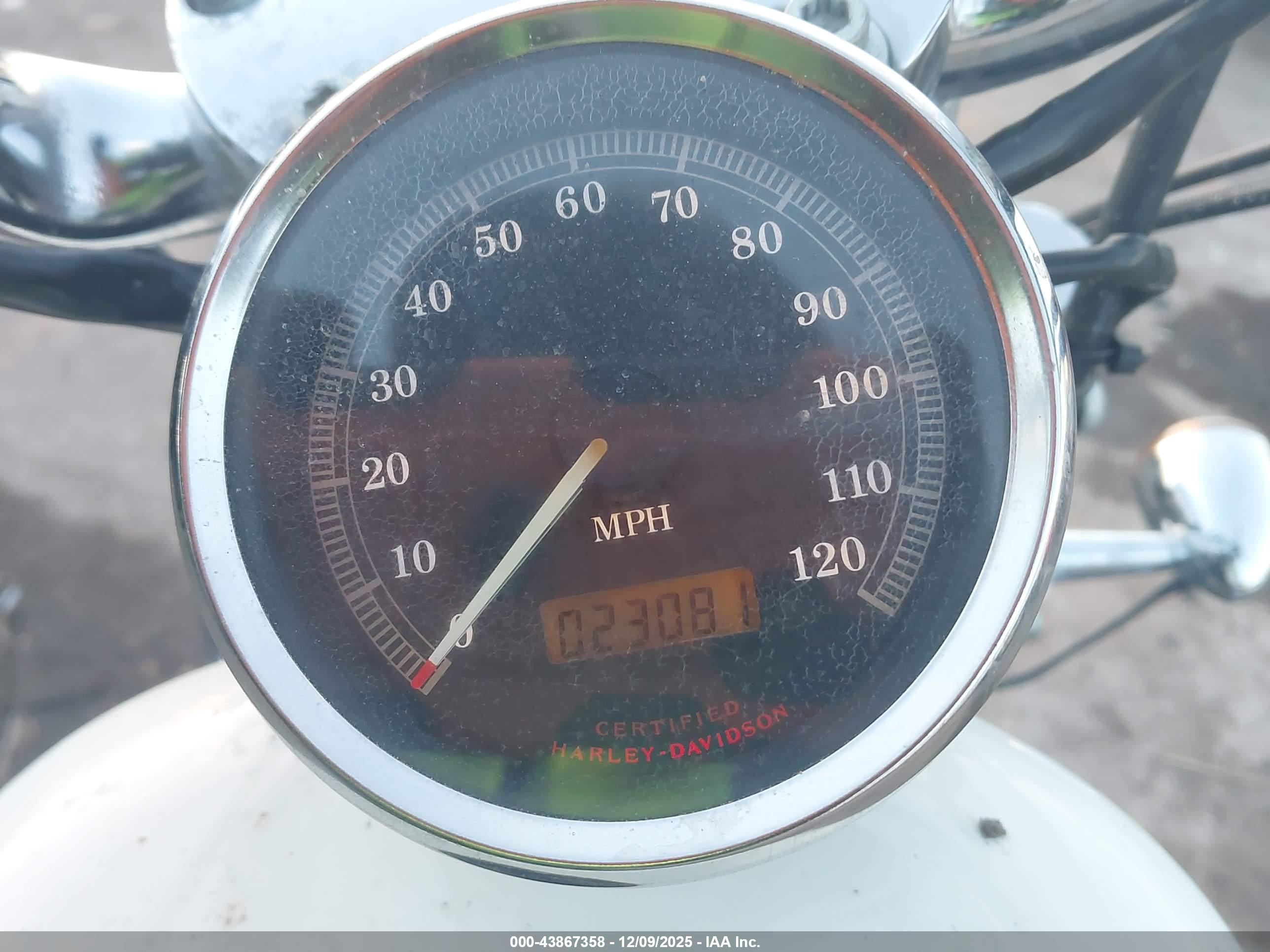 HARLEY-DAVIDSON XL883 image 7