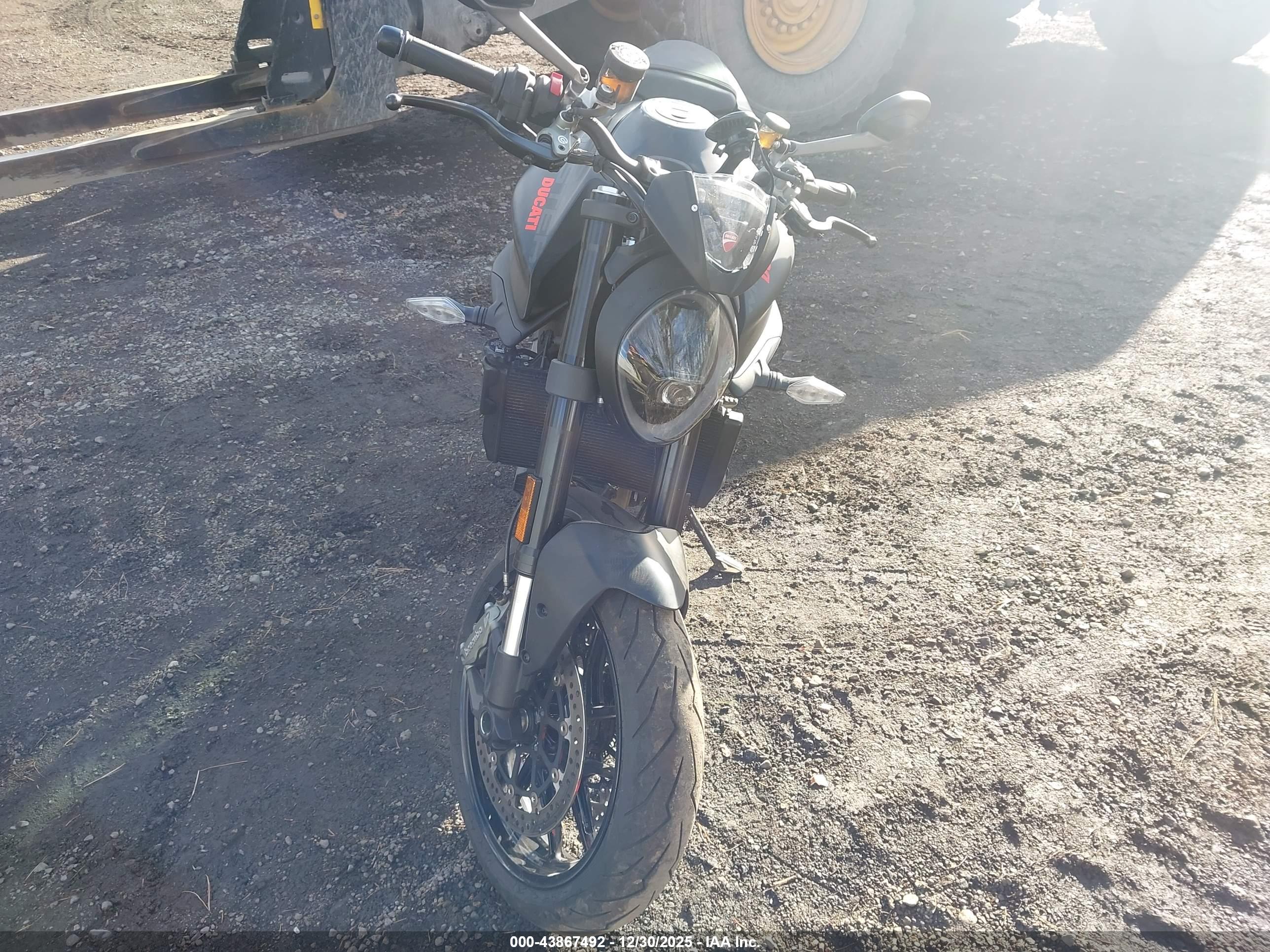 DUCATI MONSTER image 5
