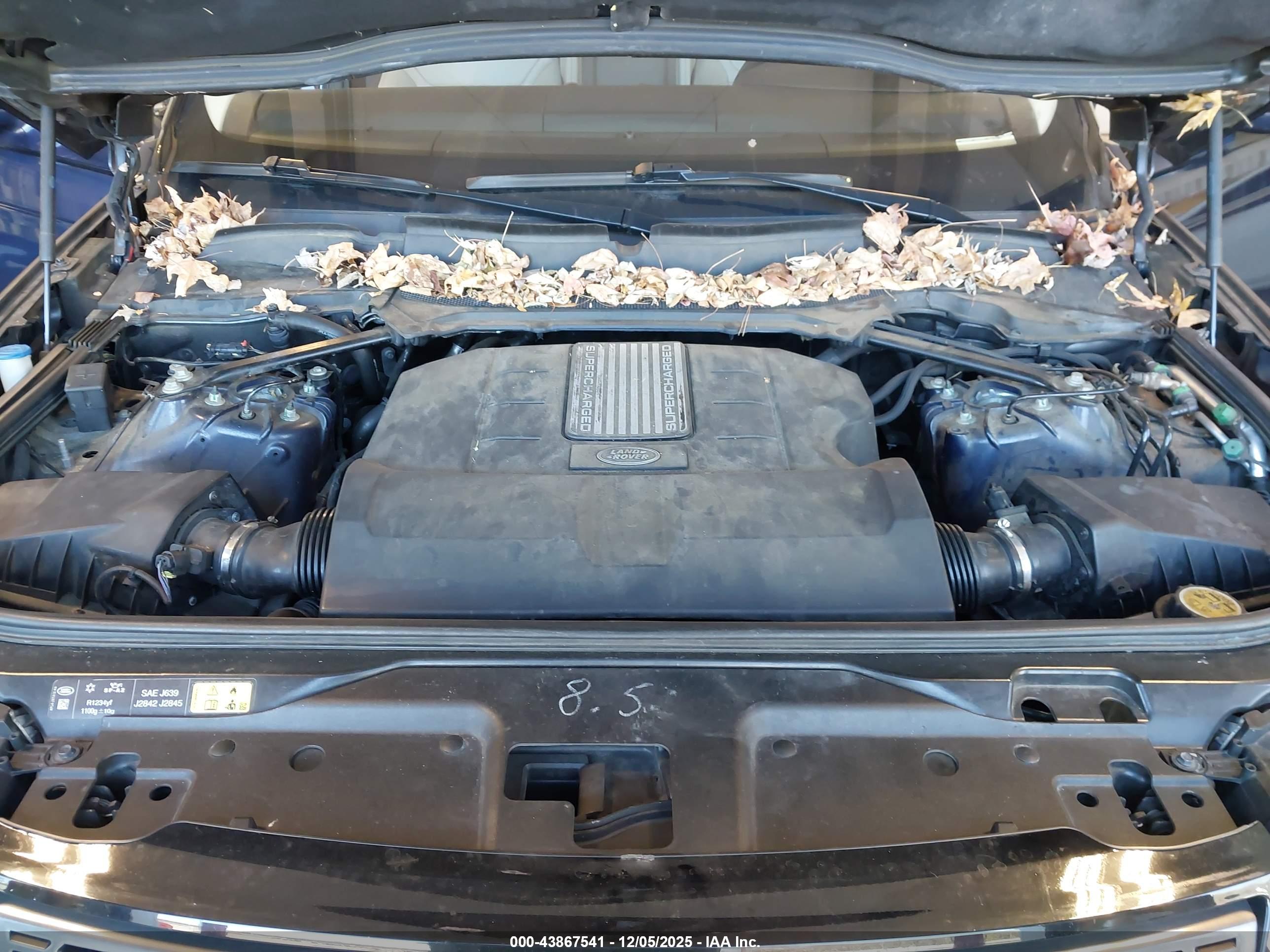 LAND ROVER image 10