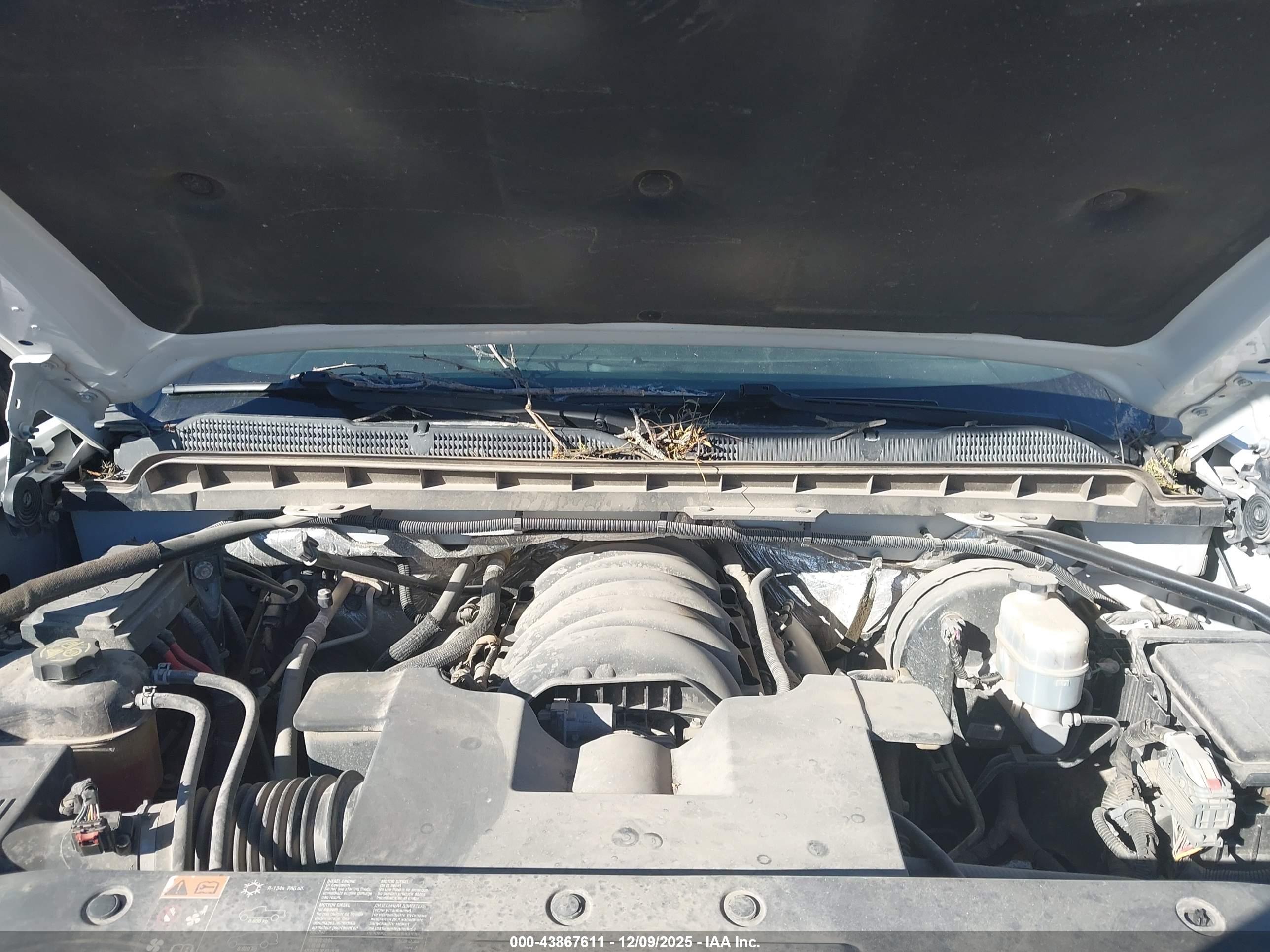 CHEVROLET SILVERADO image 10