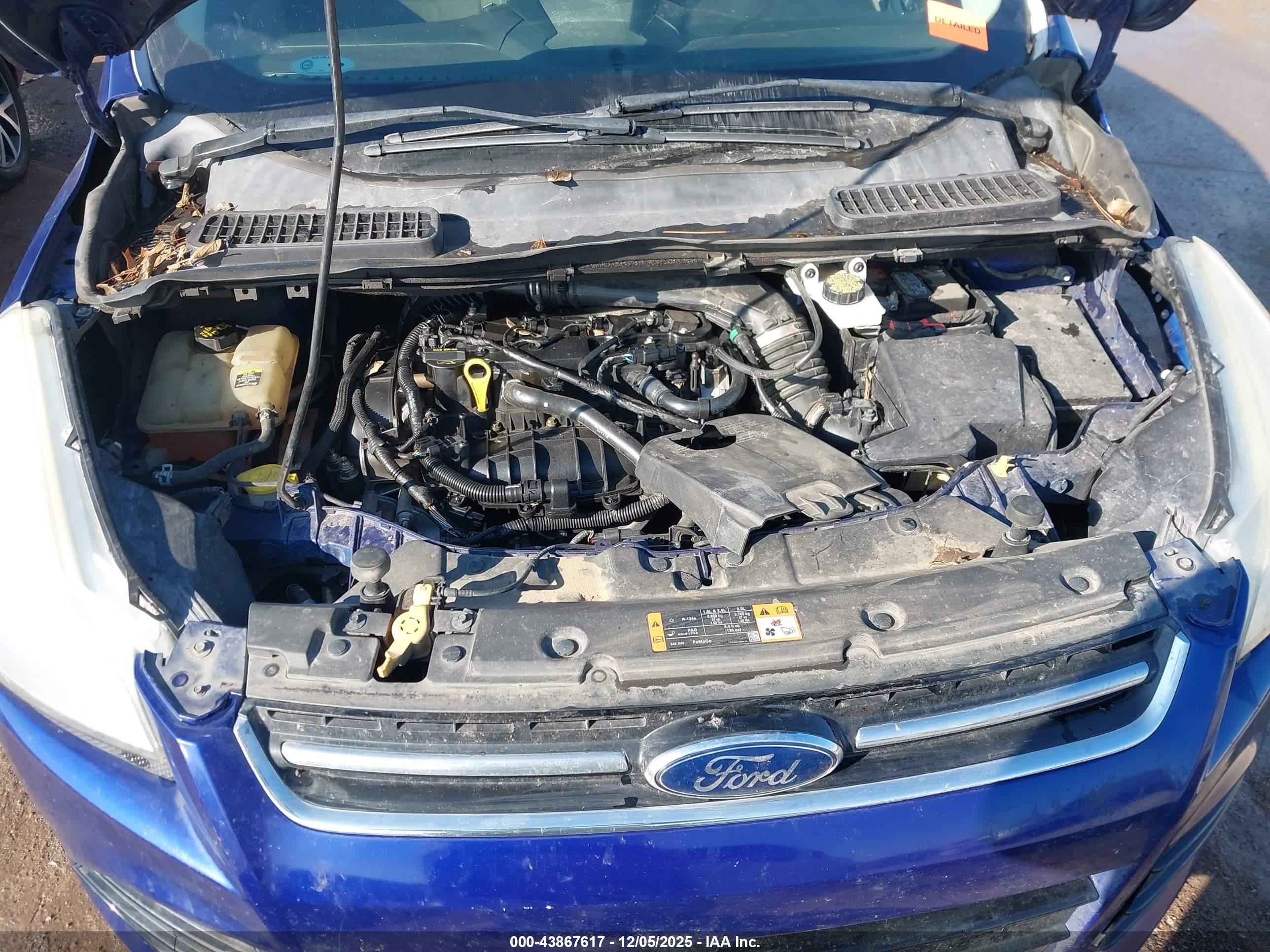 FORD ESCAPE image 10