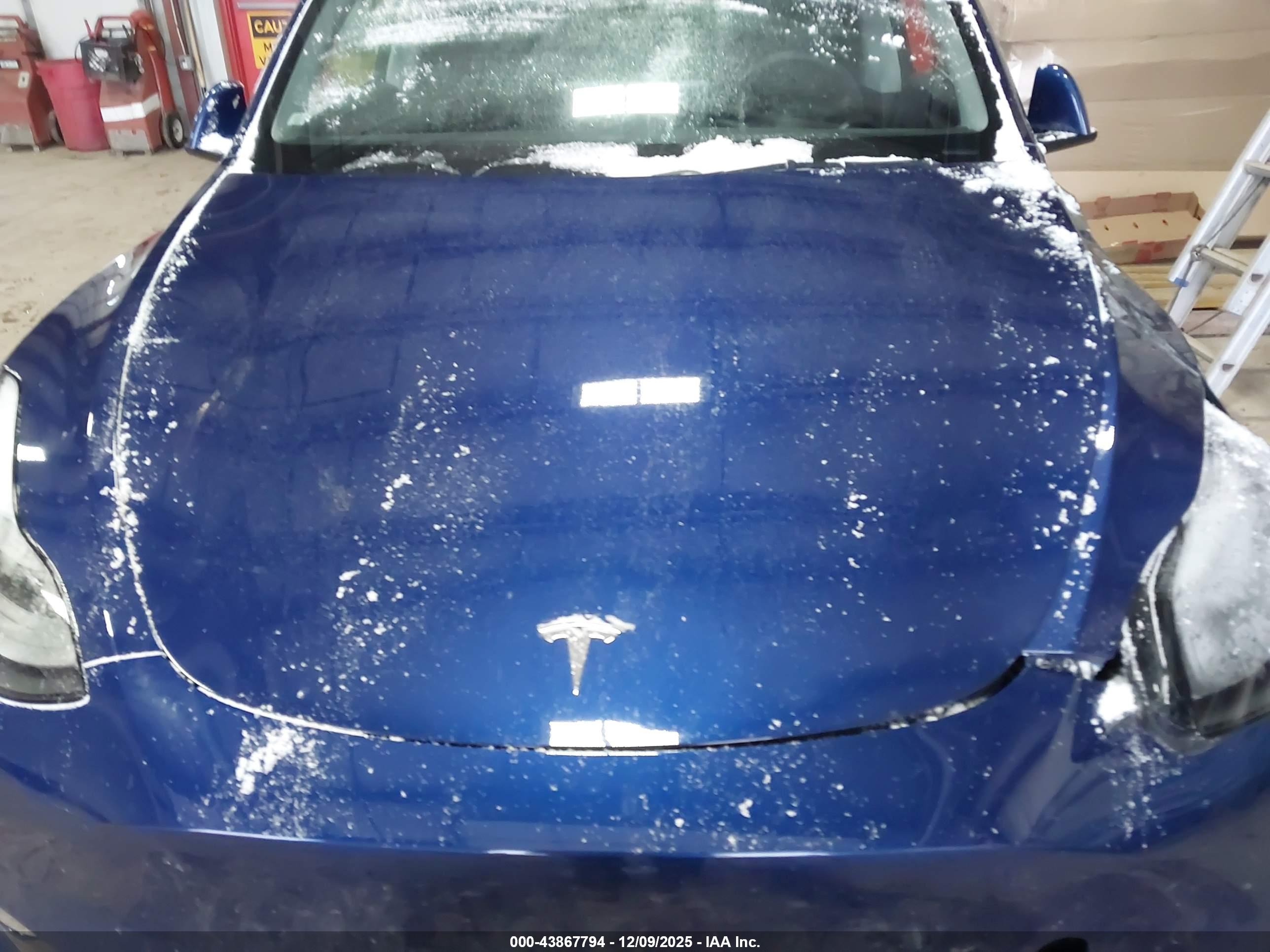 TESLA MODEL image 10