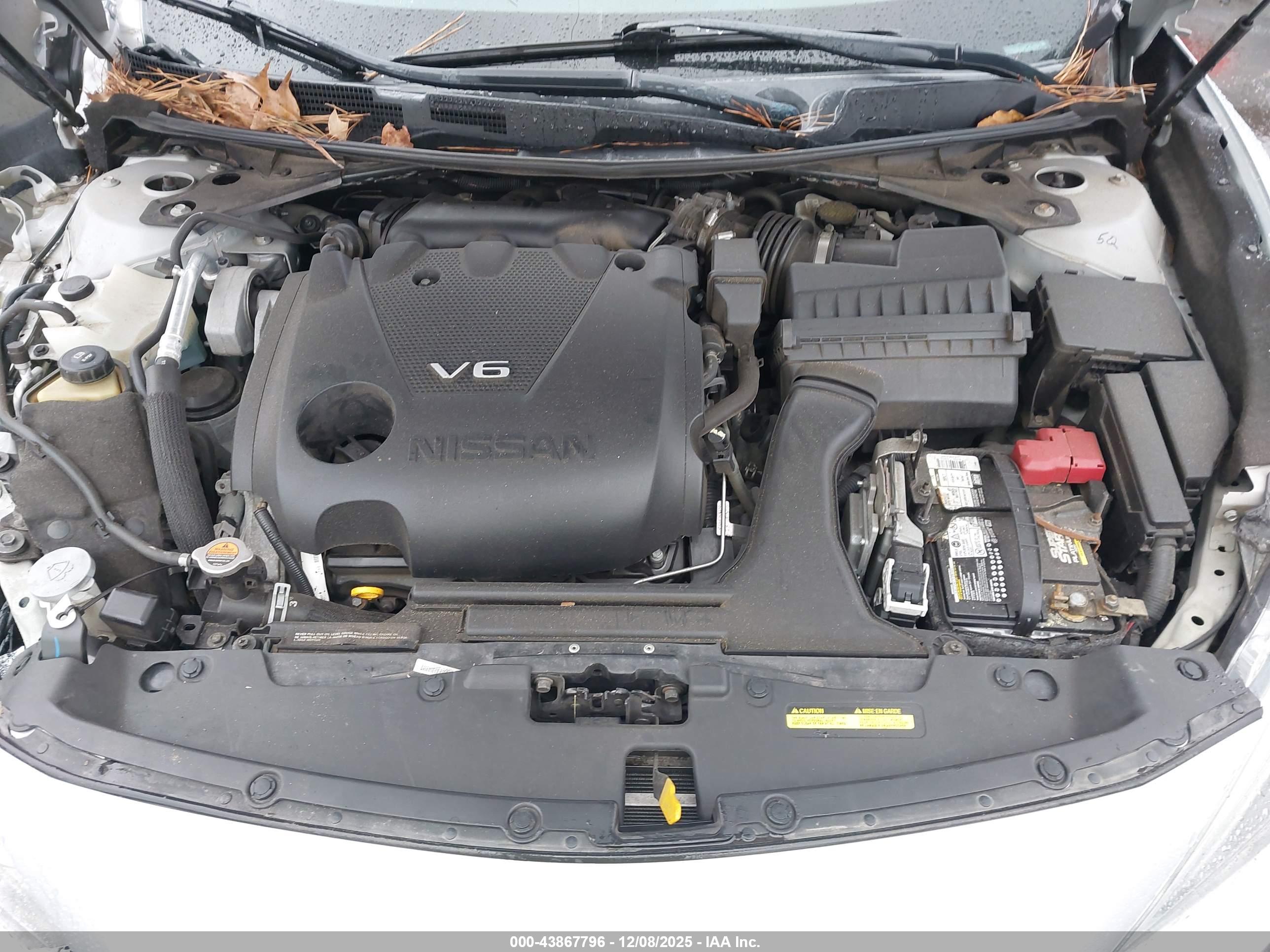 NISSAN MAXIMA image 10