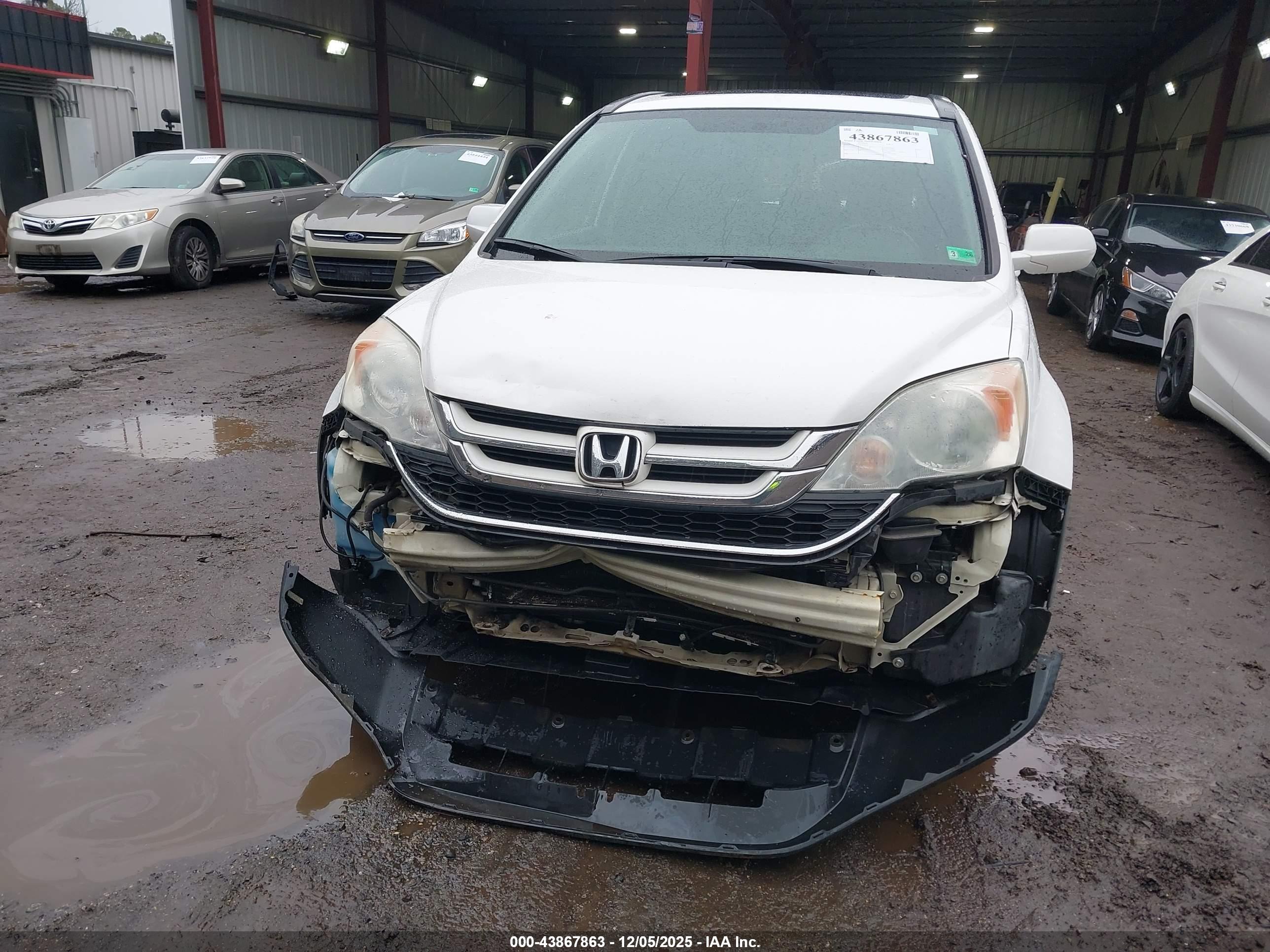 HONDA CR-V image 6