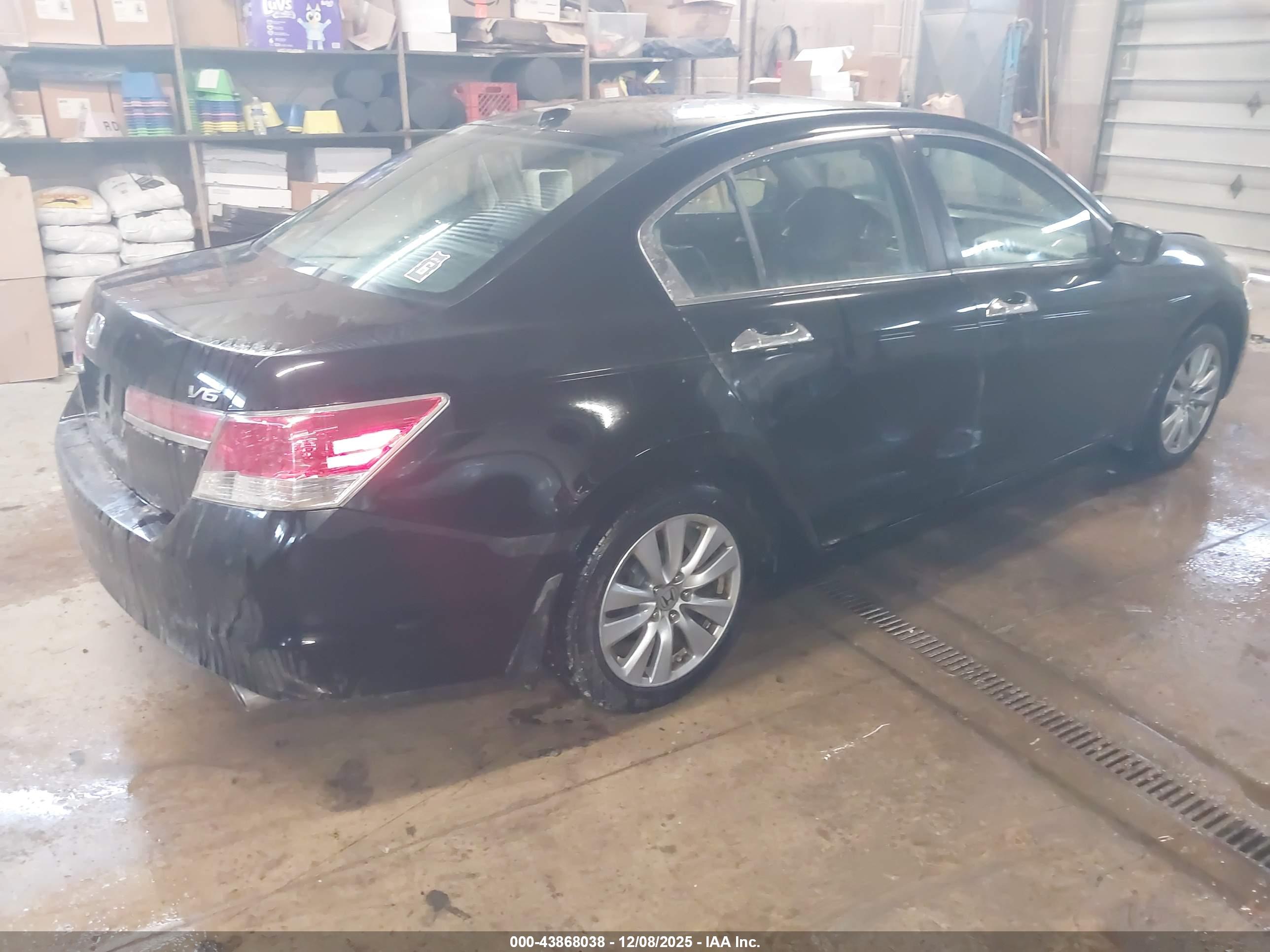 HONDA ACCORD image 4