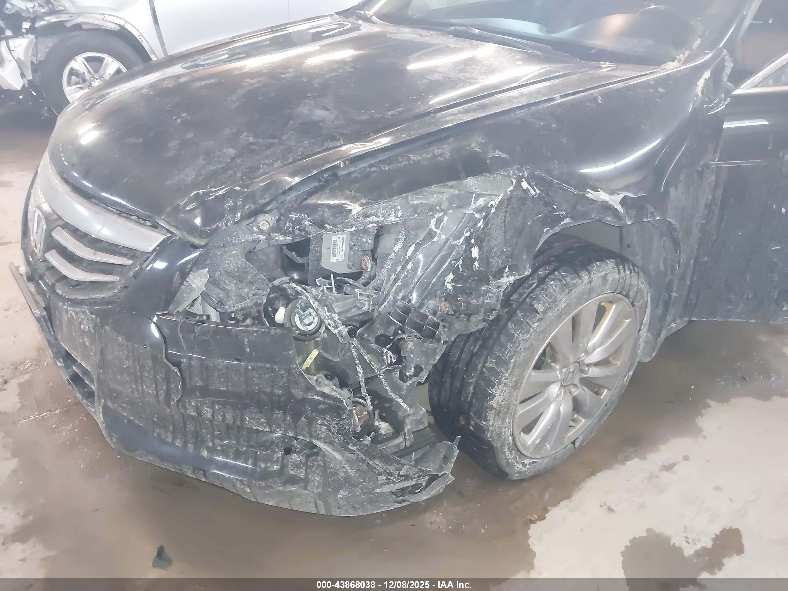 HONDA ACCORD image 6