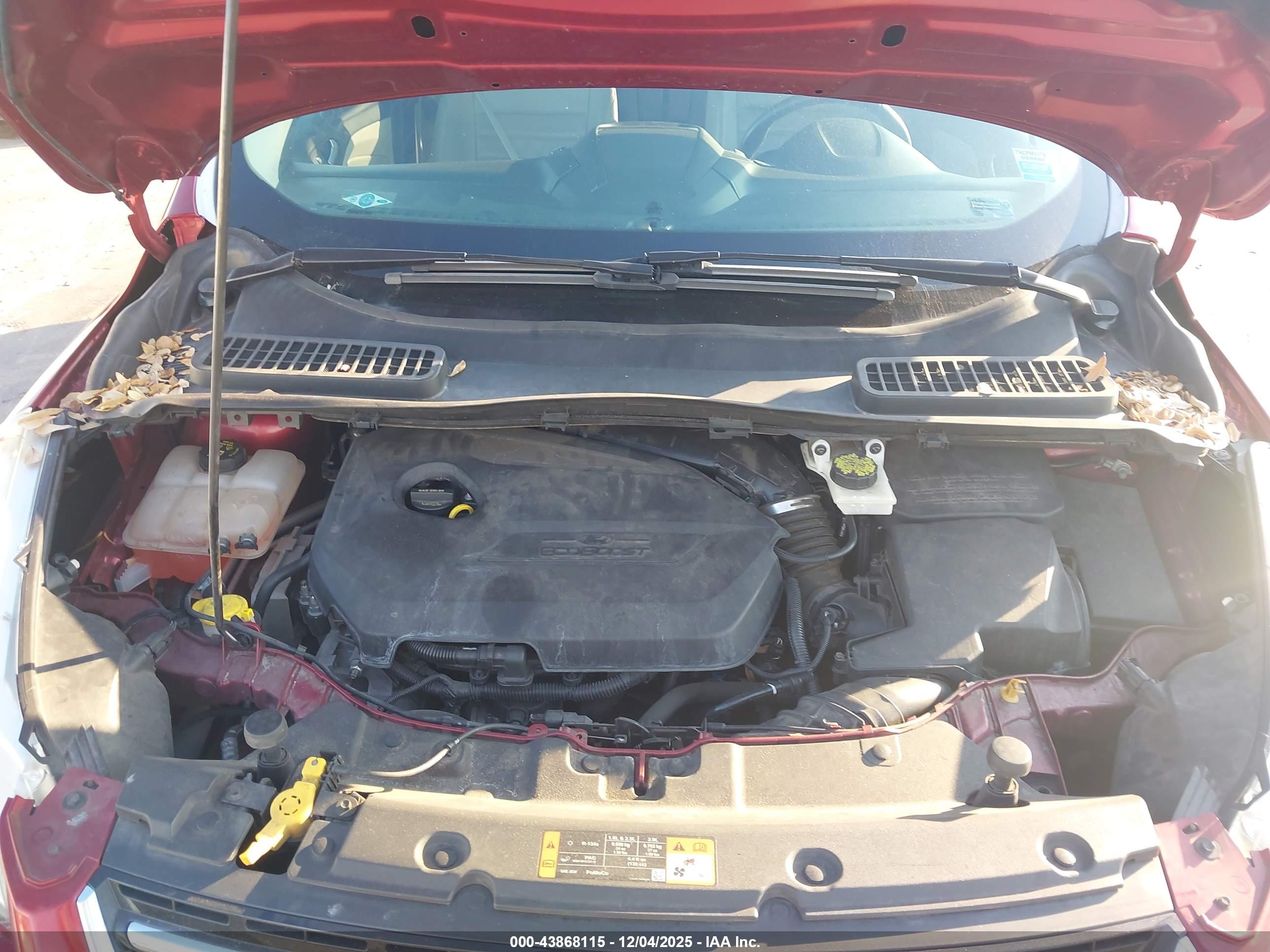 FORD ESCAPE image 10