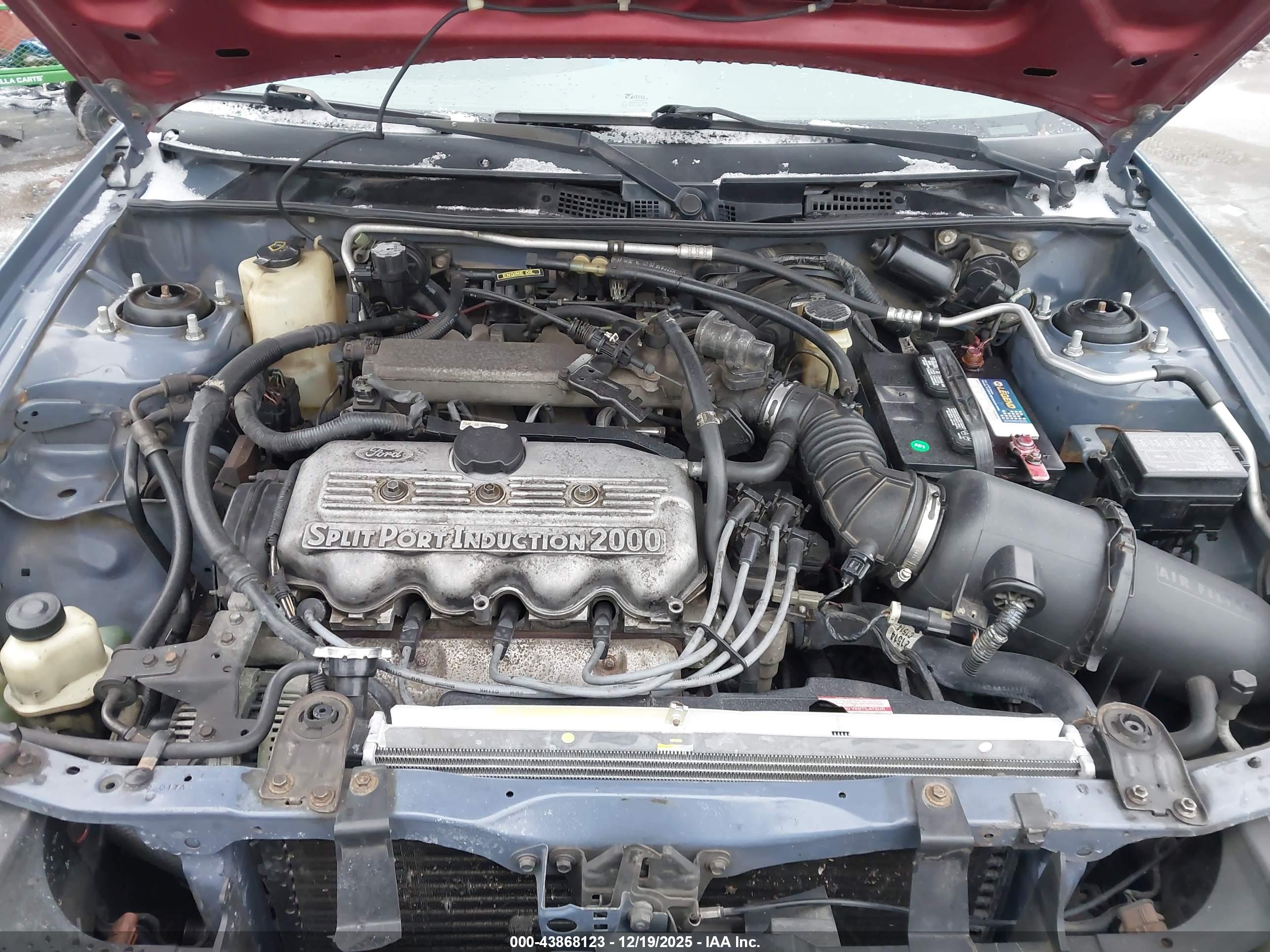FORD ESCORT image 10