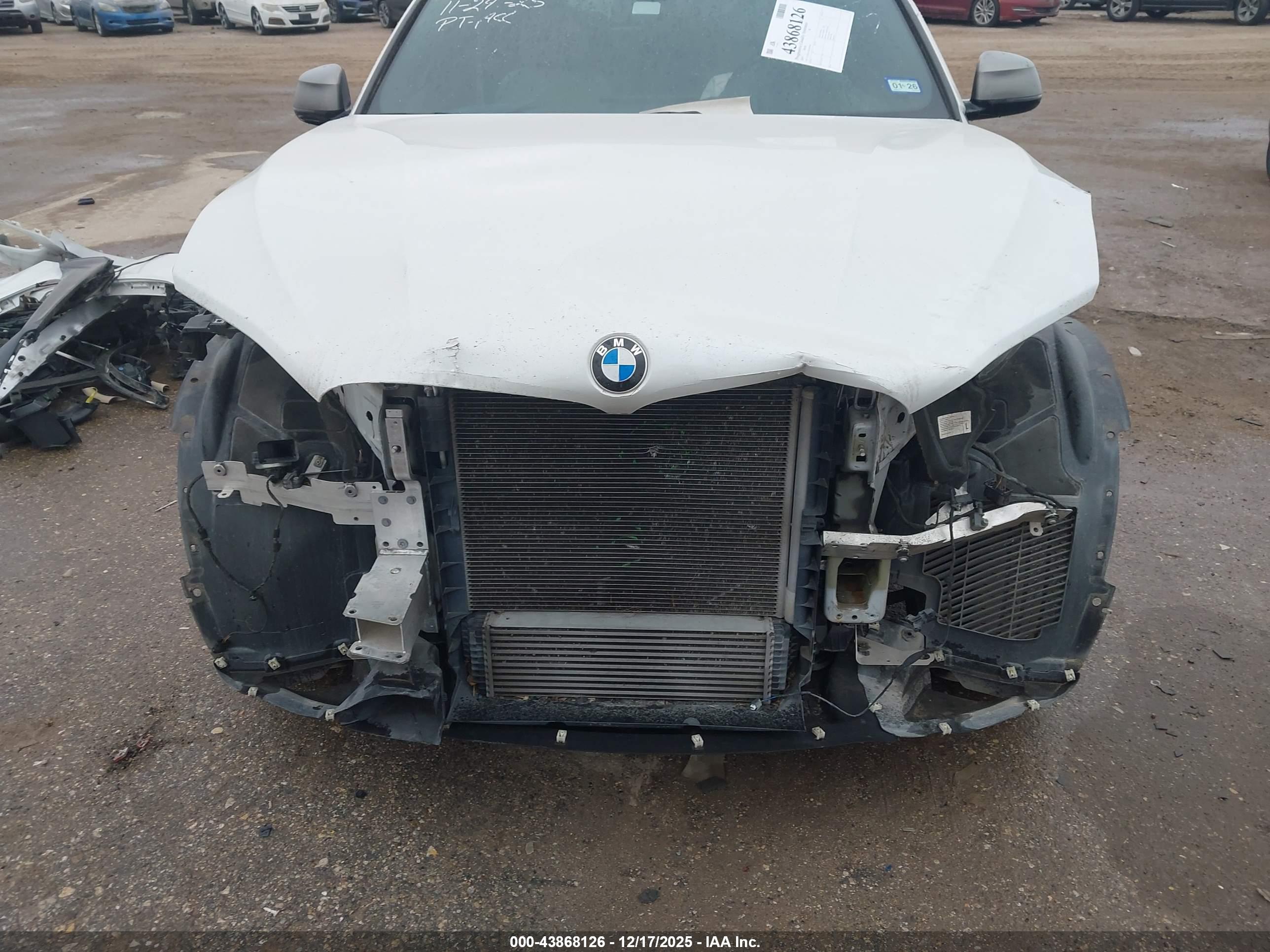 BMW X6 image 6