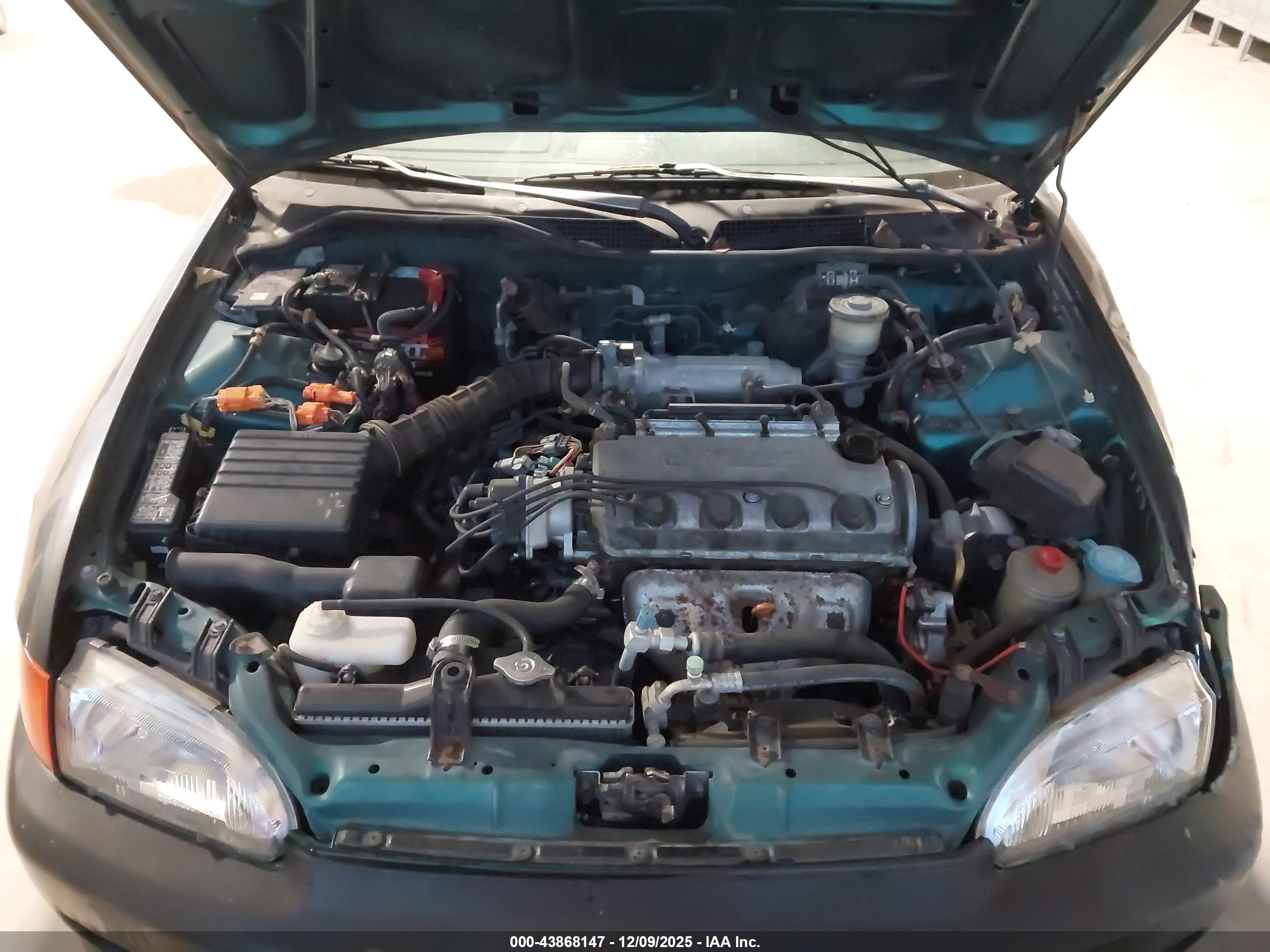 HONDA CIVIC image 10