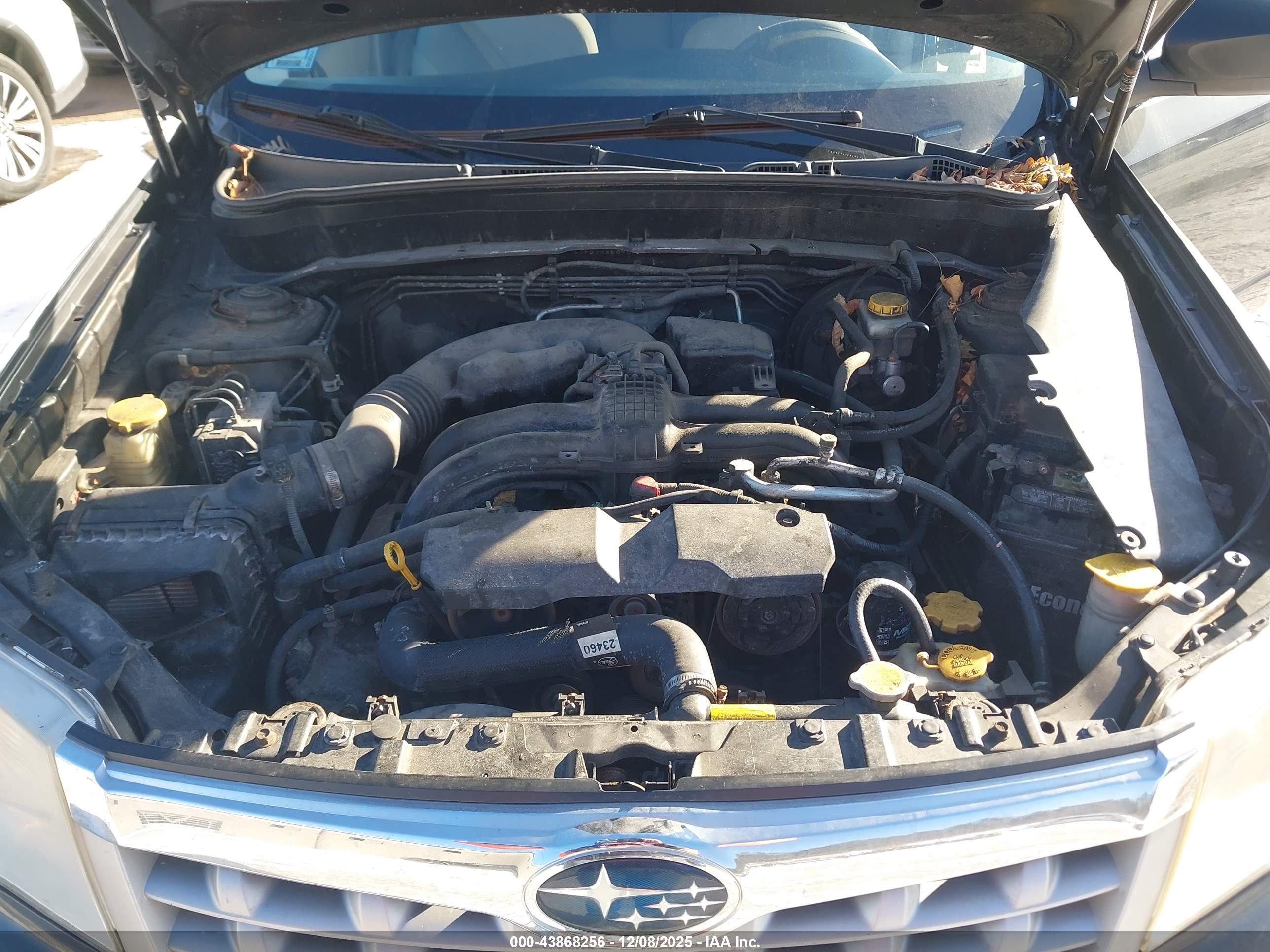 SUBARU FORESTER image 10