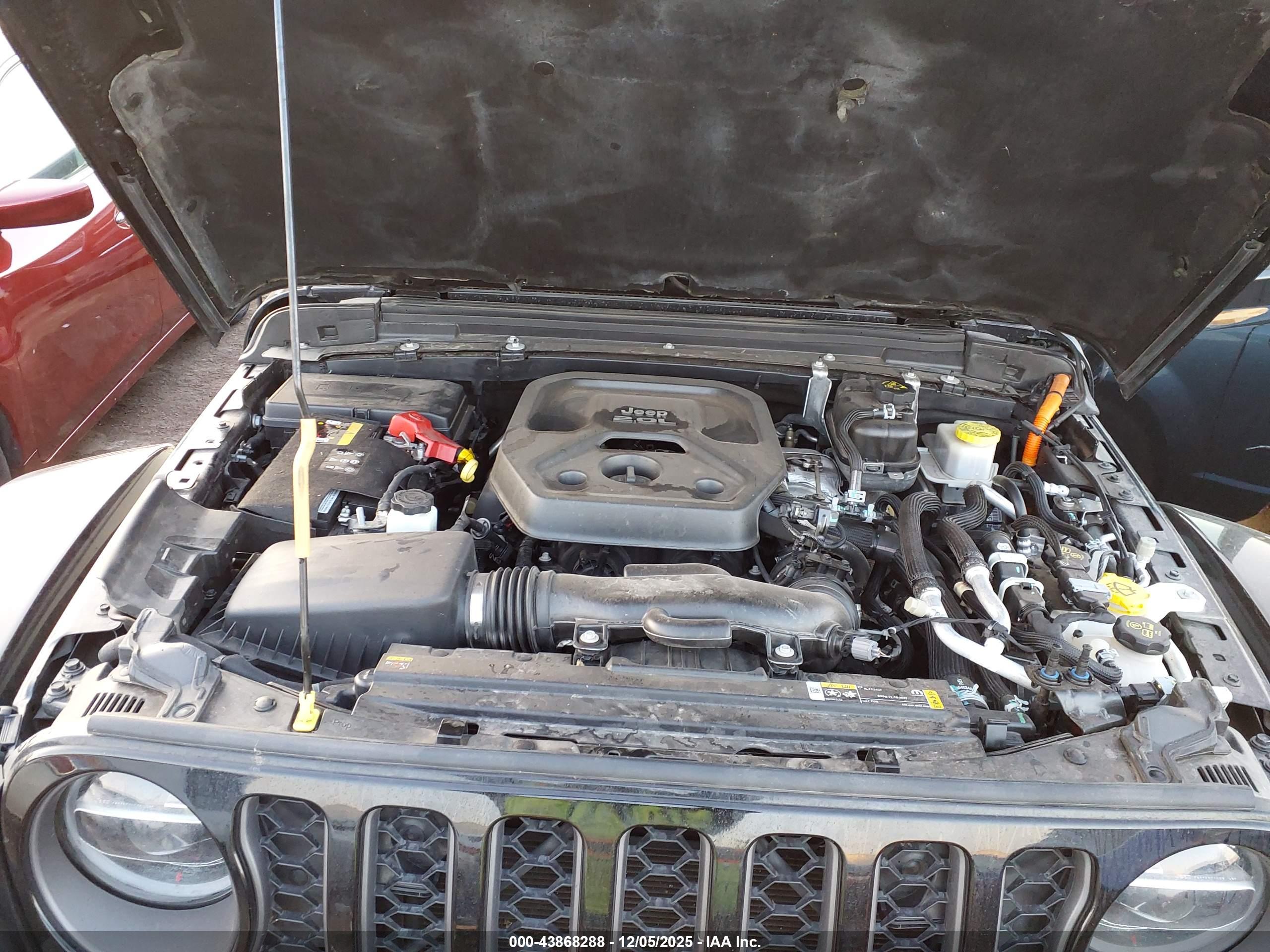 JEEP WRANGLER image 10