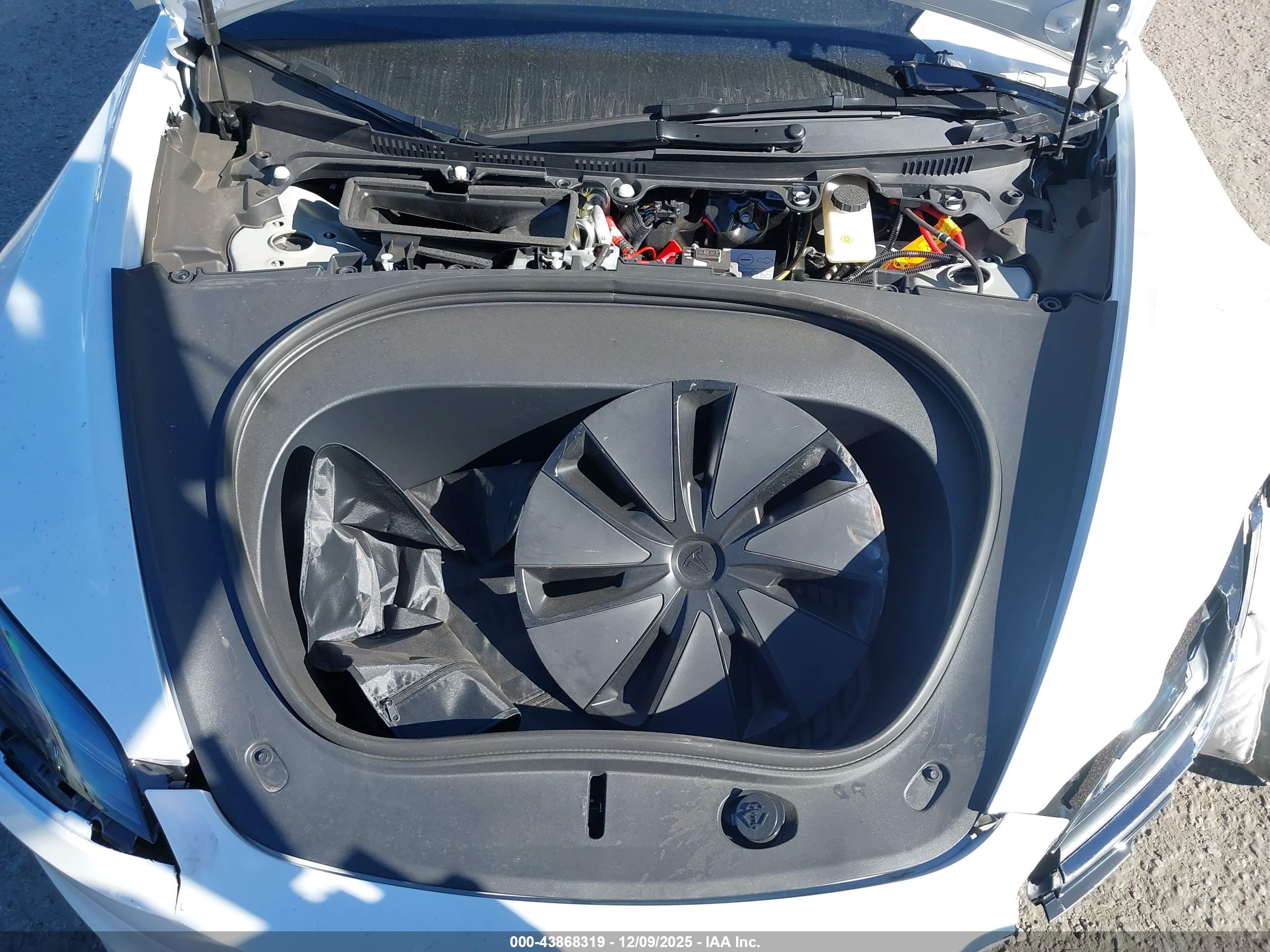 TESLA MODEL image 10