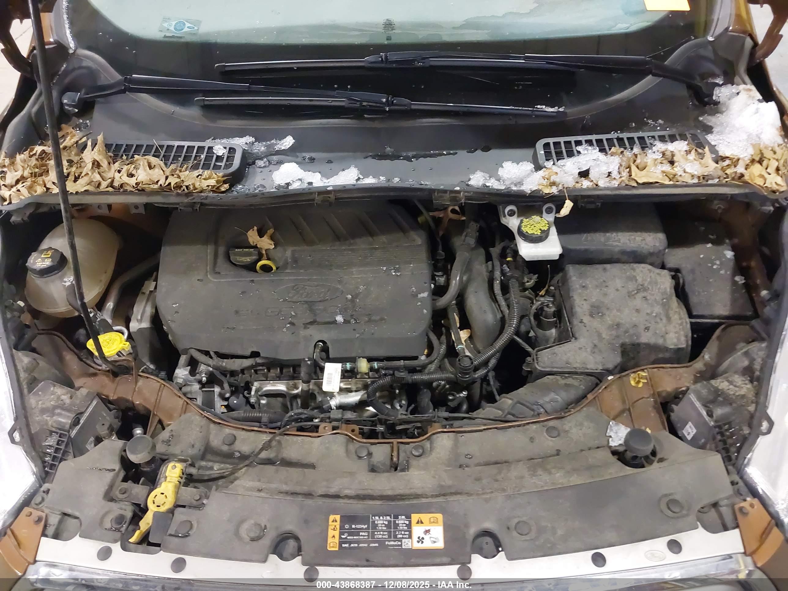 FORD ESCAPE image 10