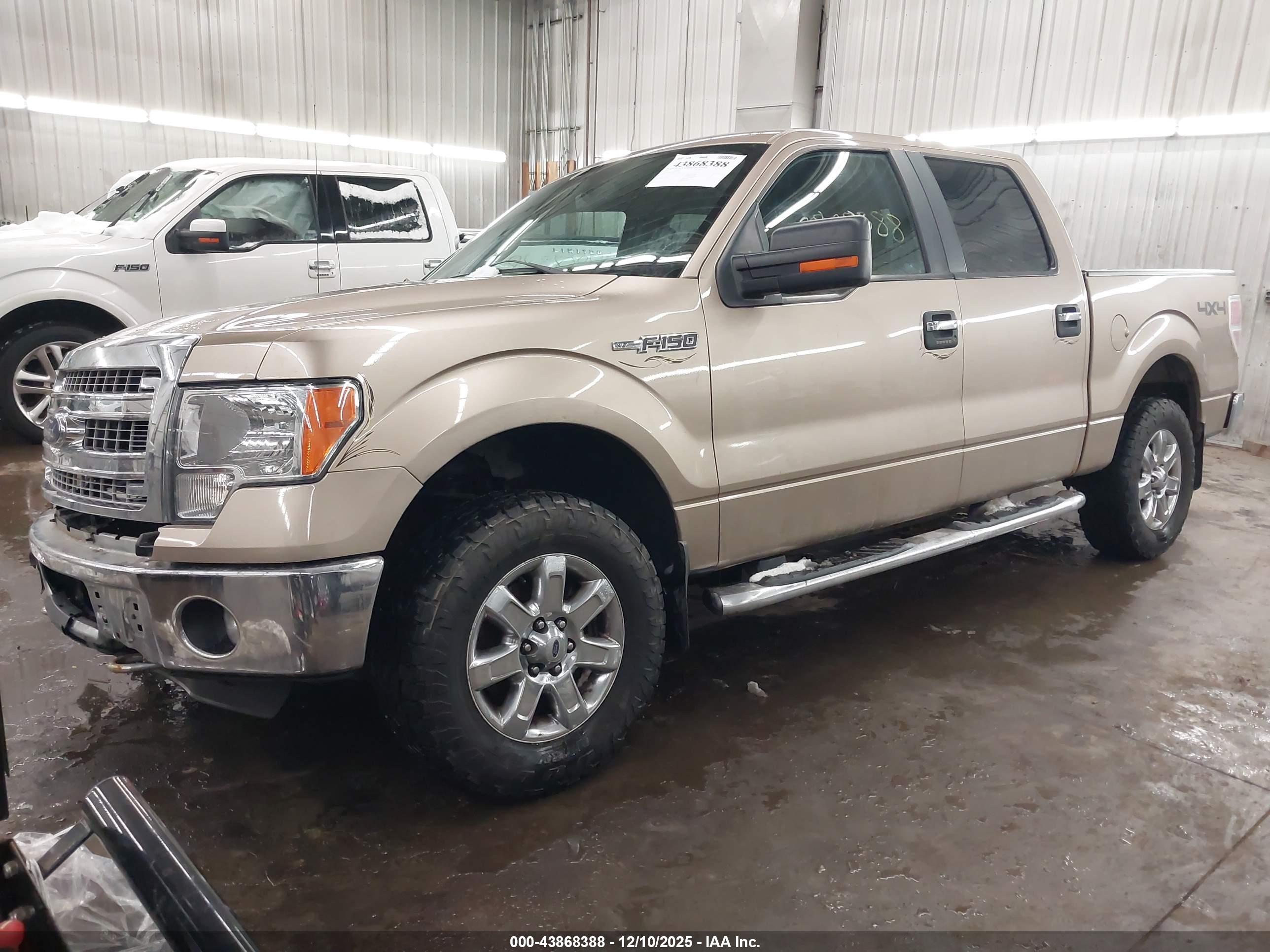 FORD F-150 image 2