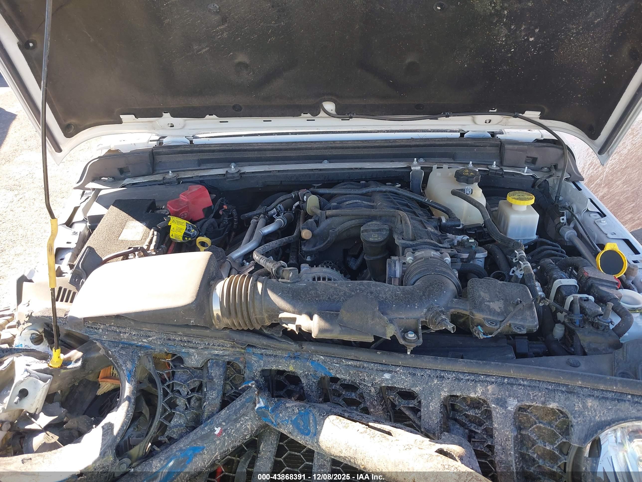 JEEP GLADIATOR image 10
