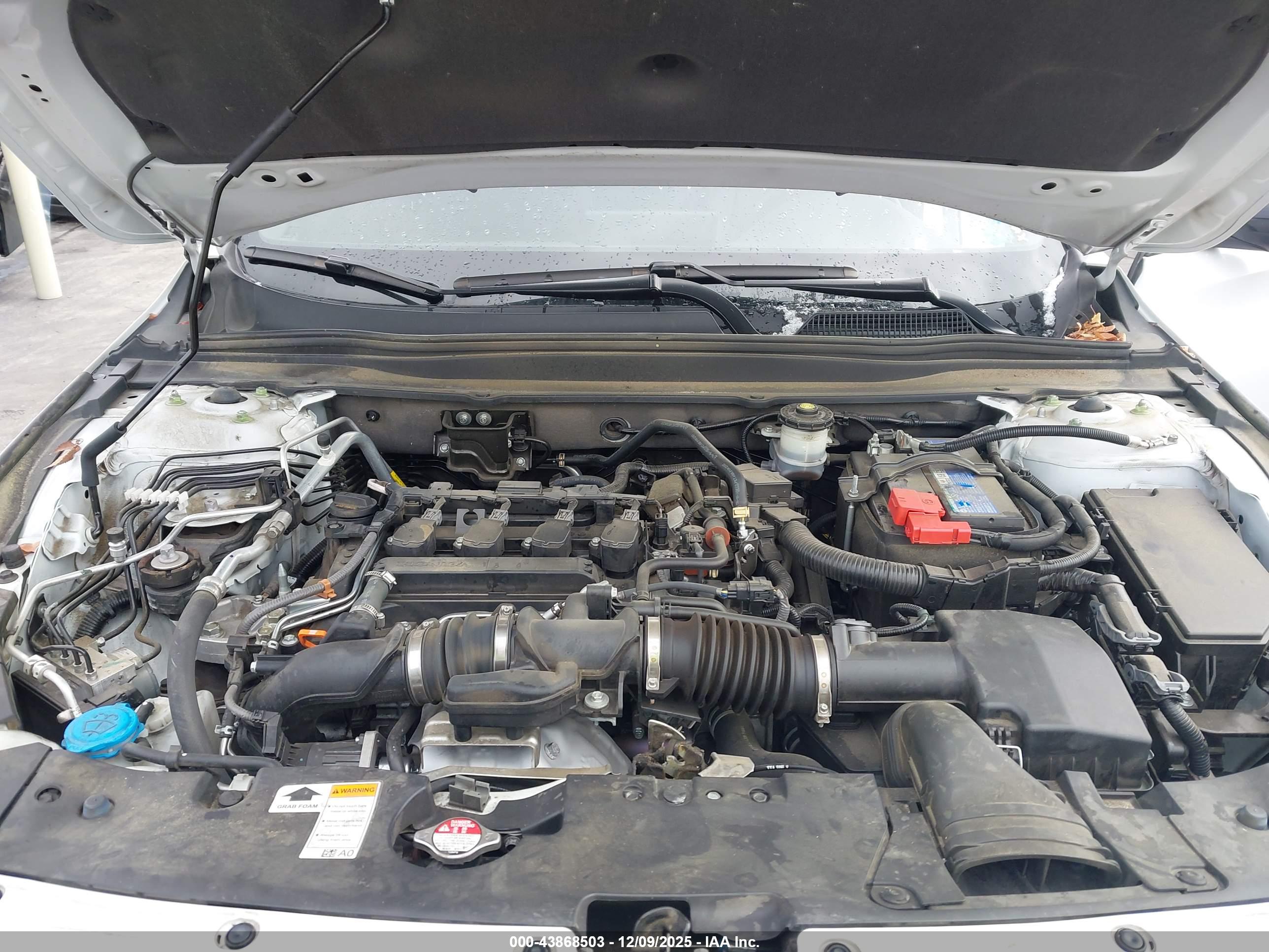 HONDA ACCORD image 10