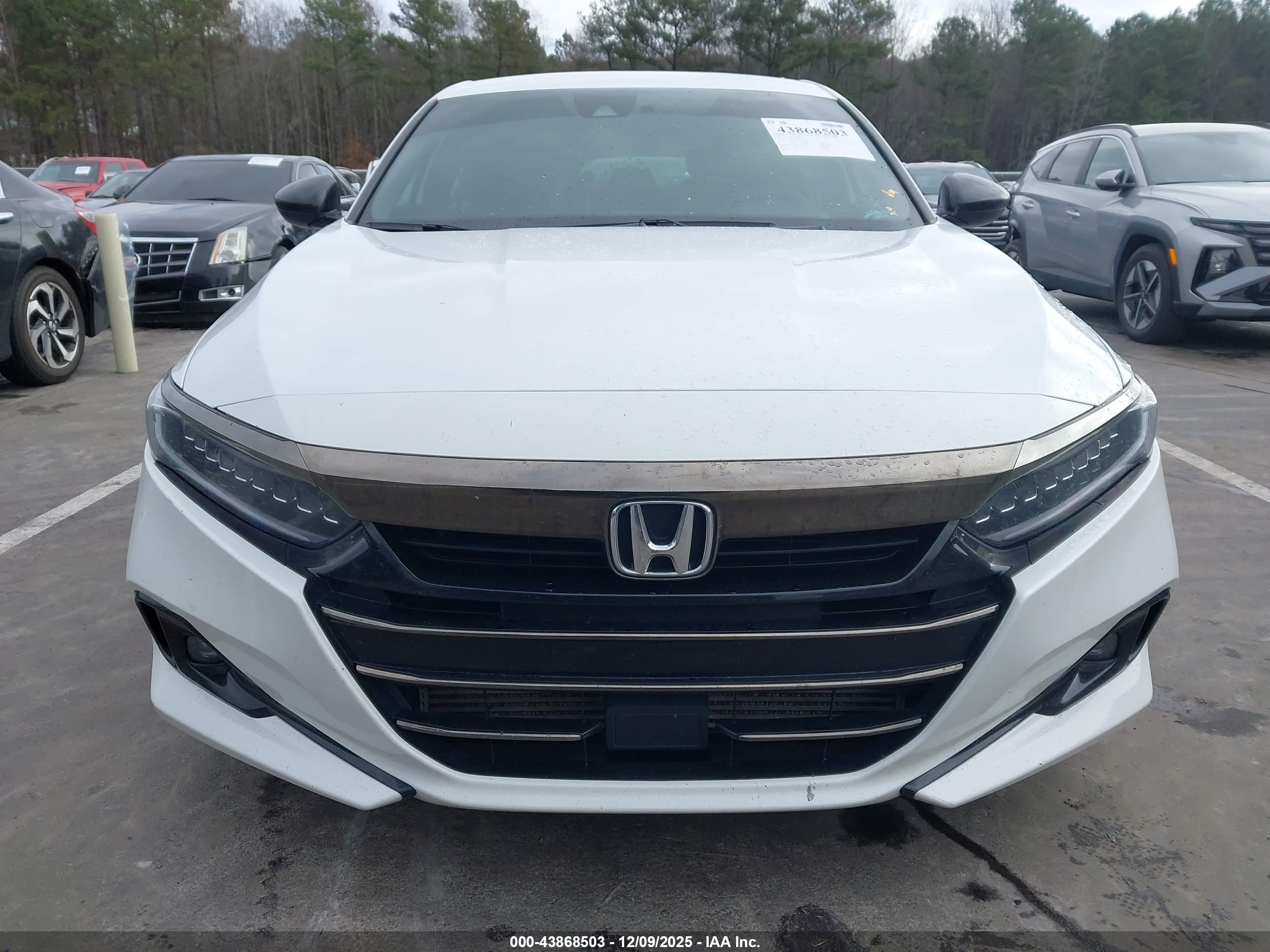 HONDA ACCORD image 6