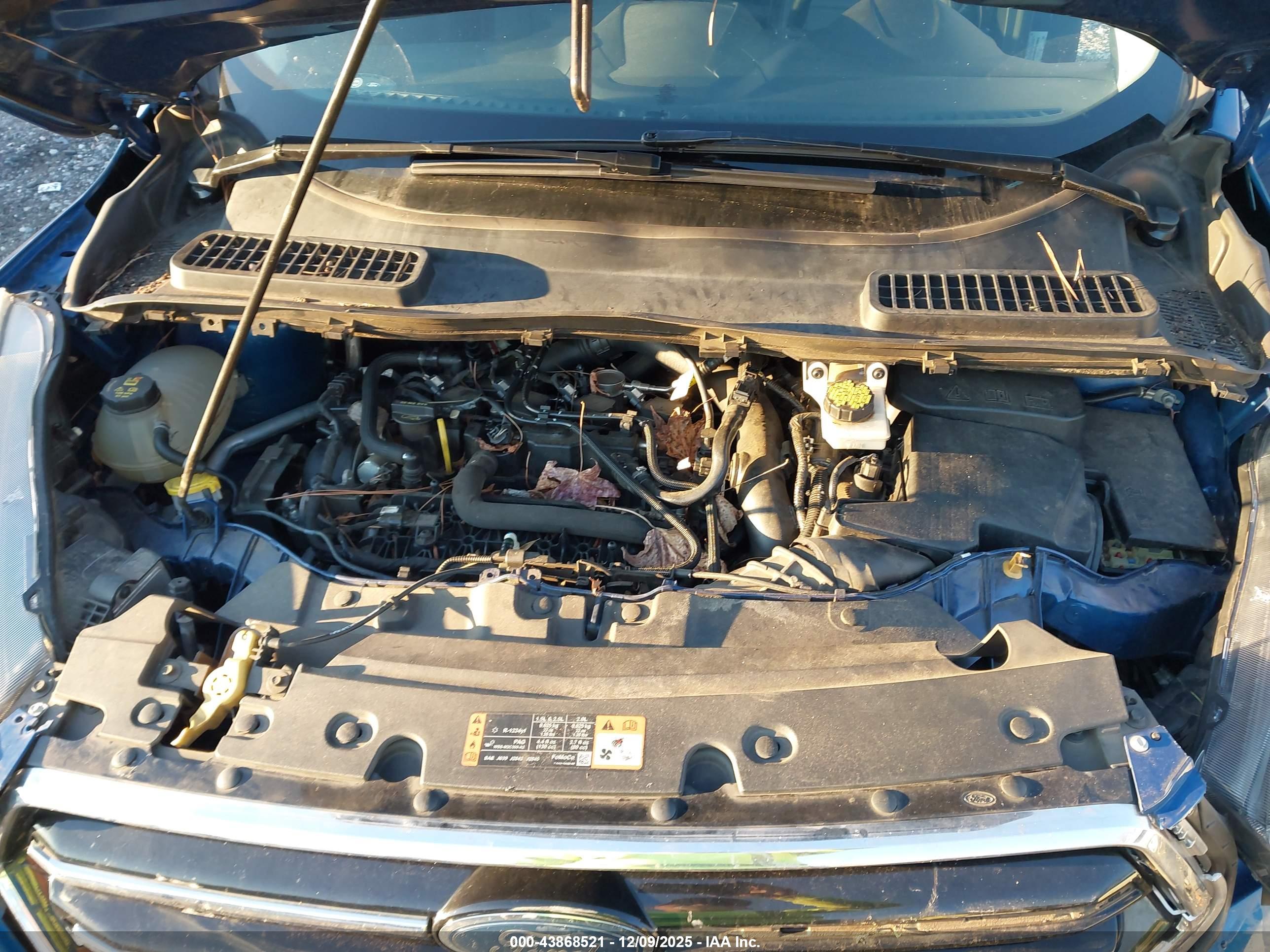 FORD ESCAPE image 10