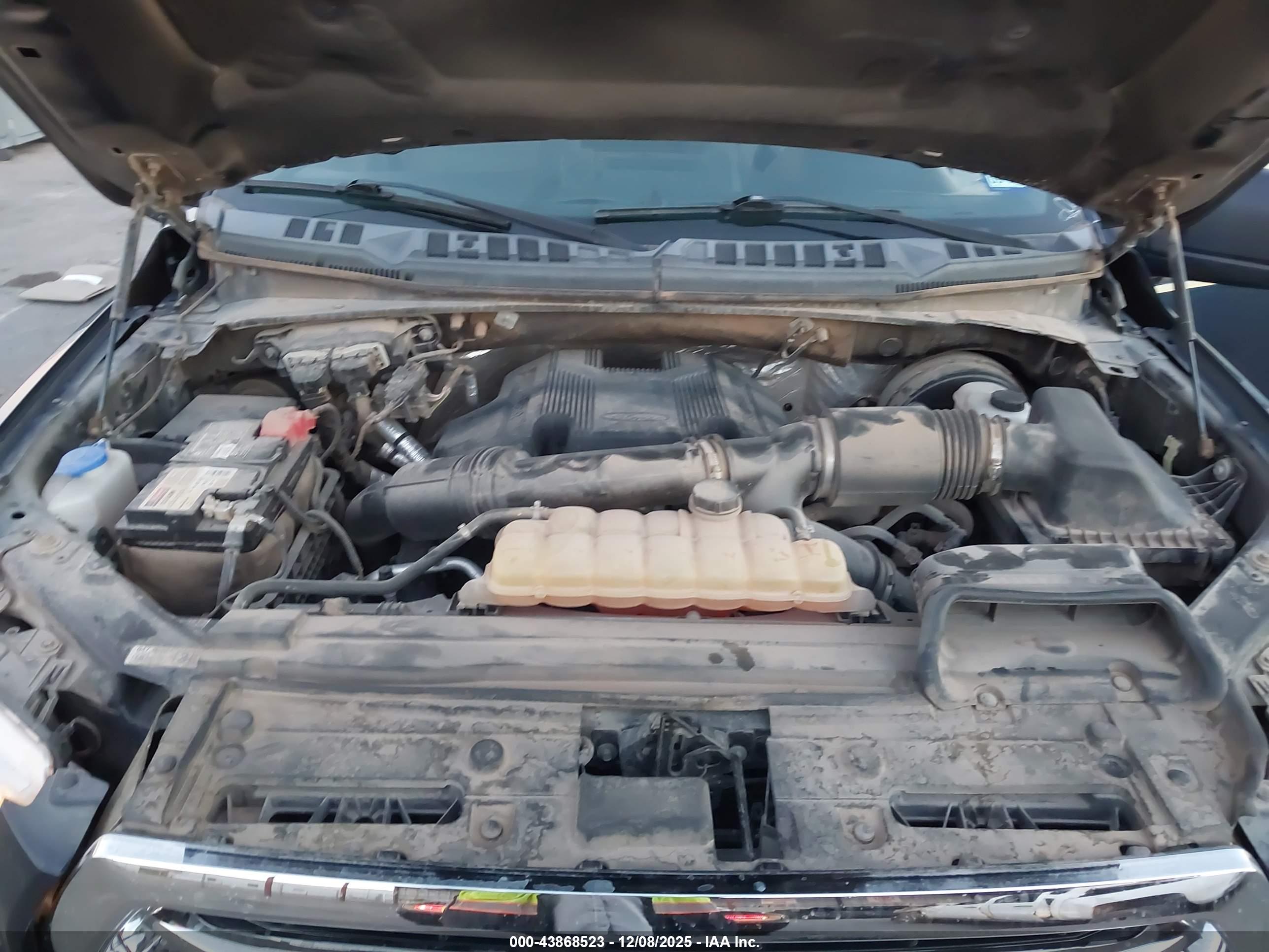 FORD F-150 image 10