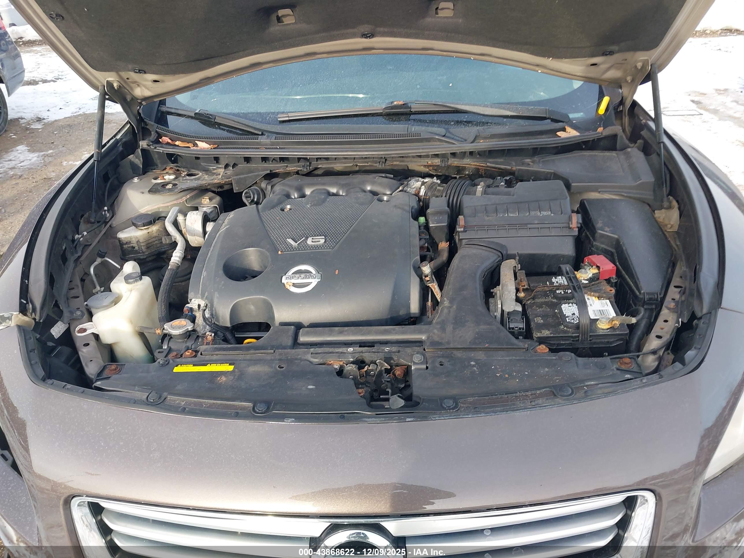 NISSAN MAXIMA image 10