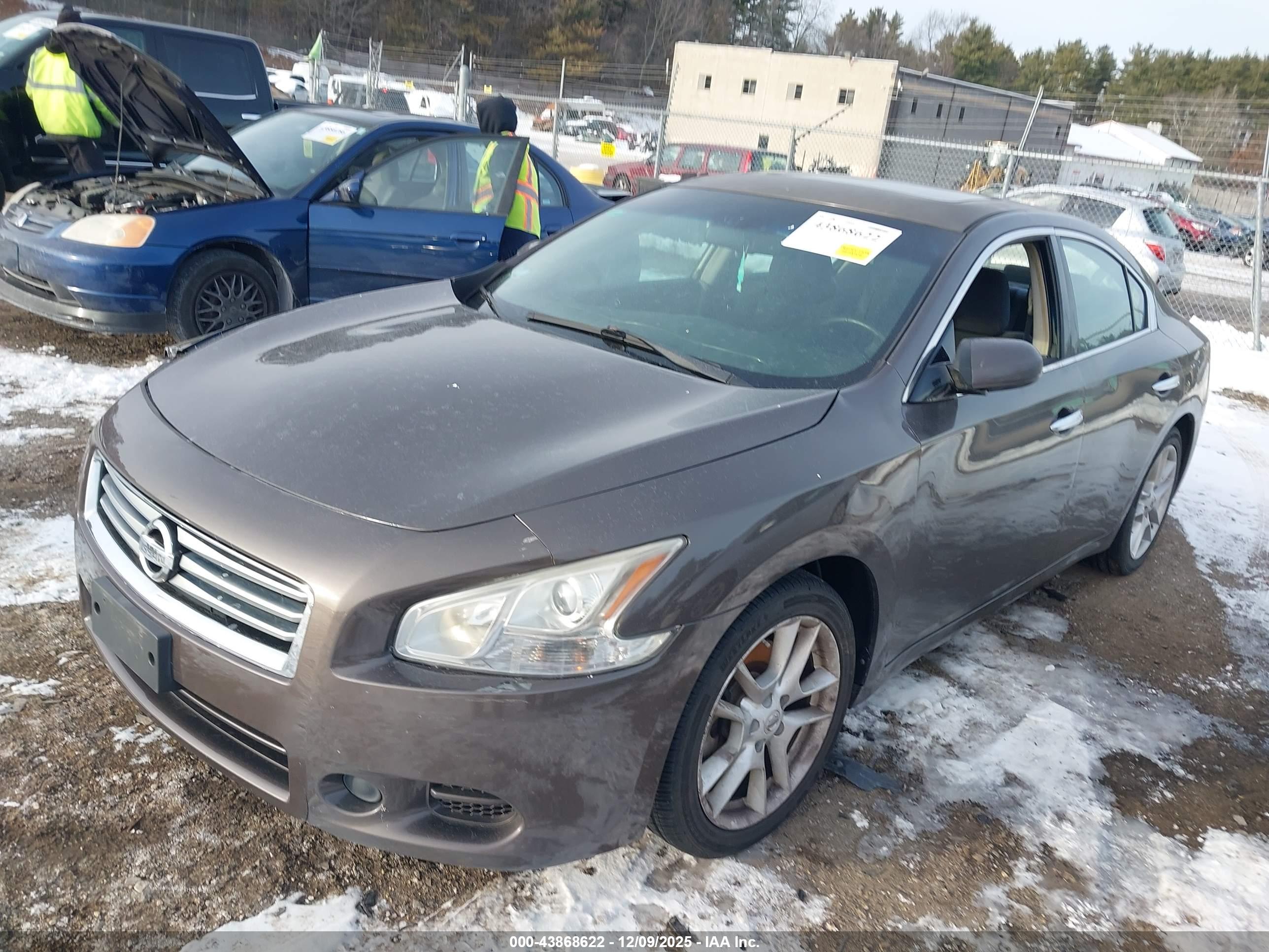 NISSAN MAXIMA image 2