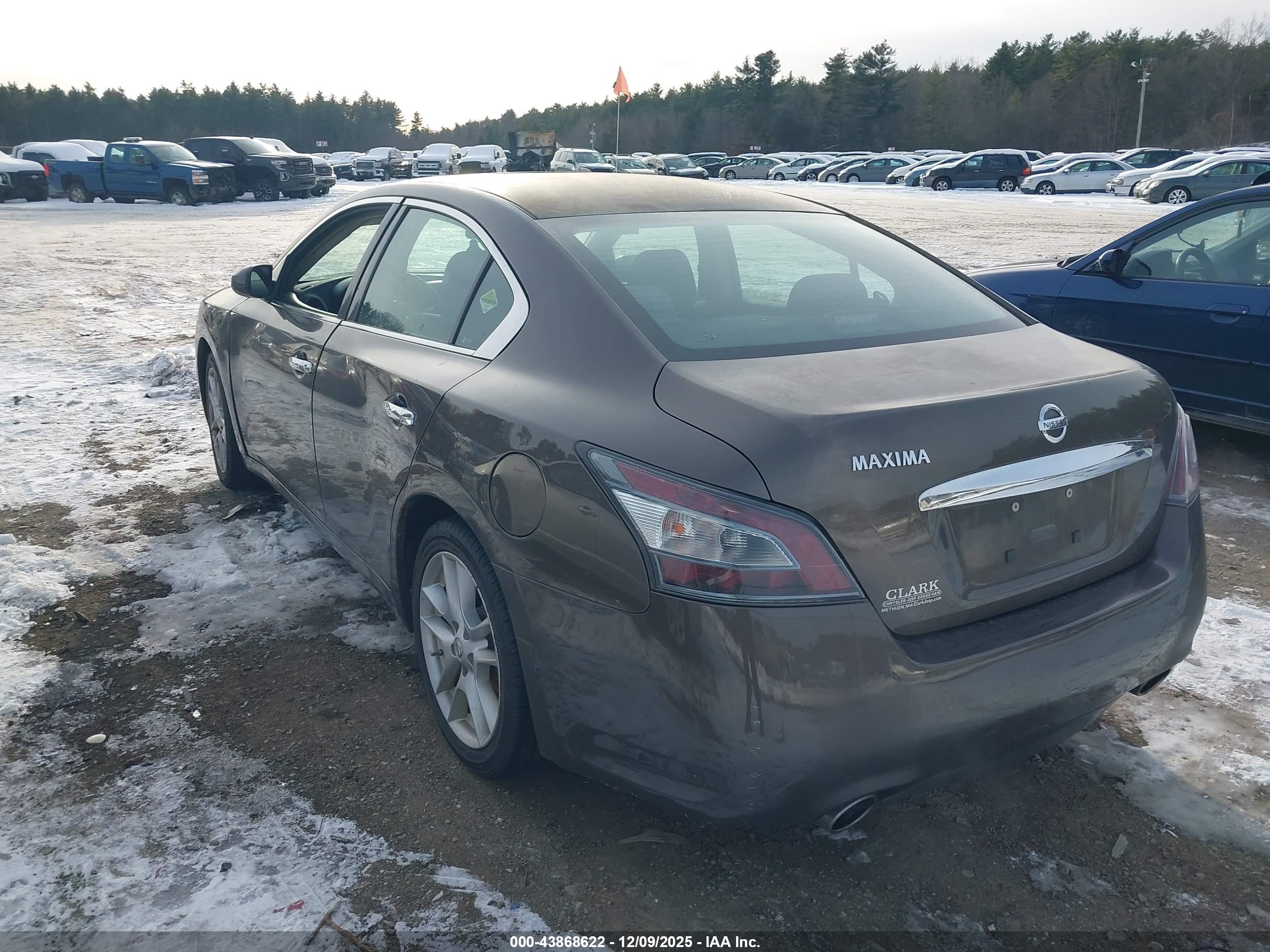 NISSAN MAXIMA image 3